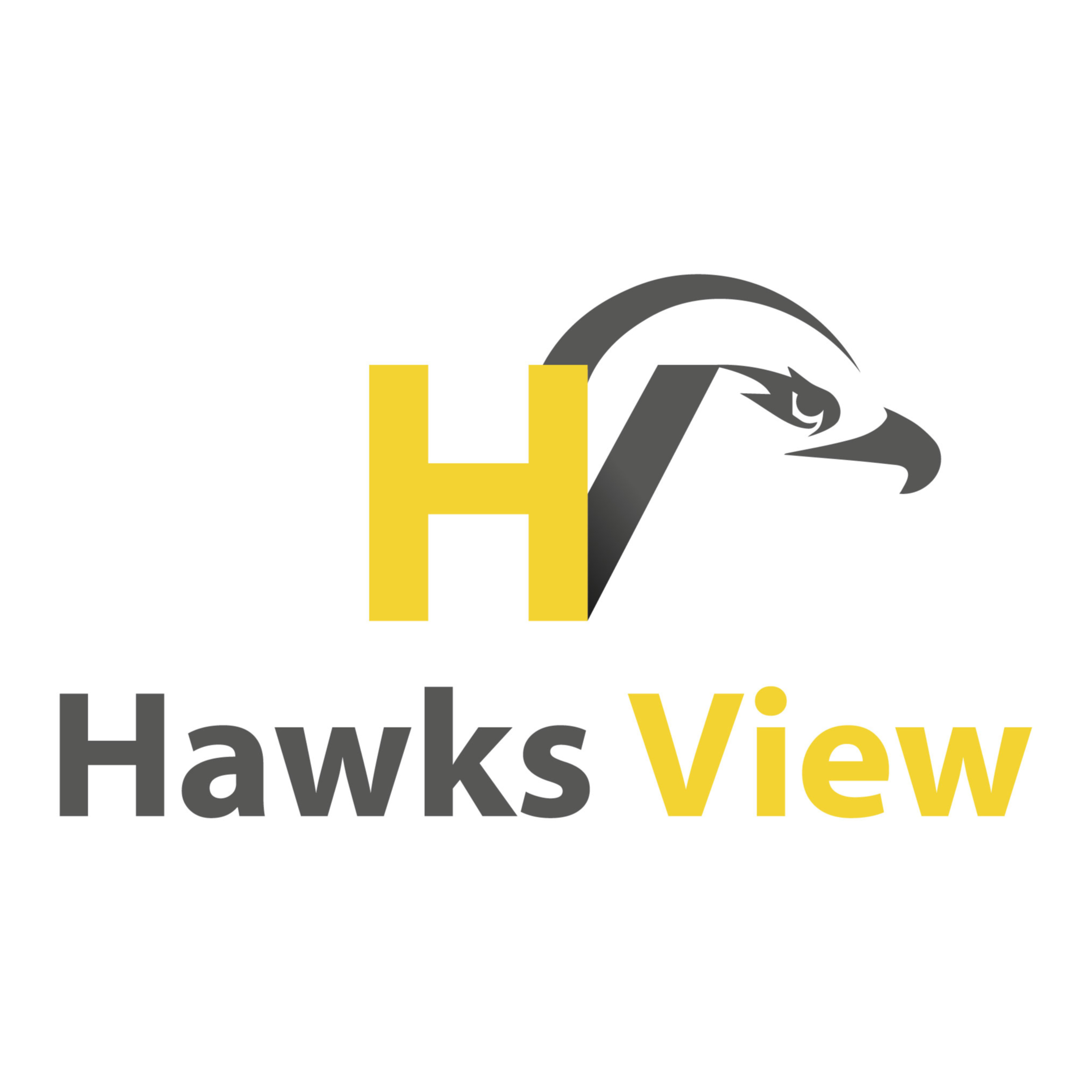 Hawks View Ep. 9: Michigan St Recap episode artwork