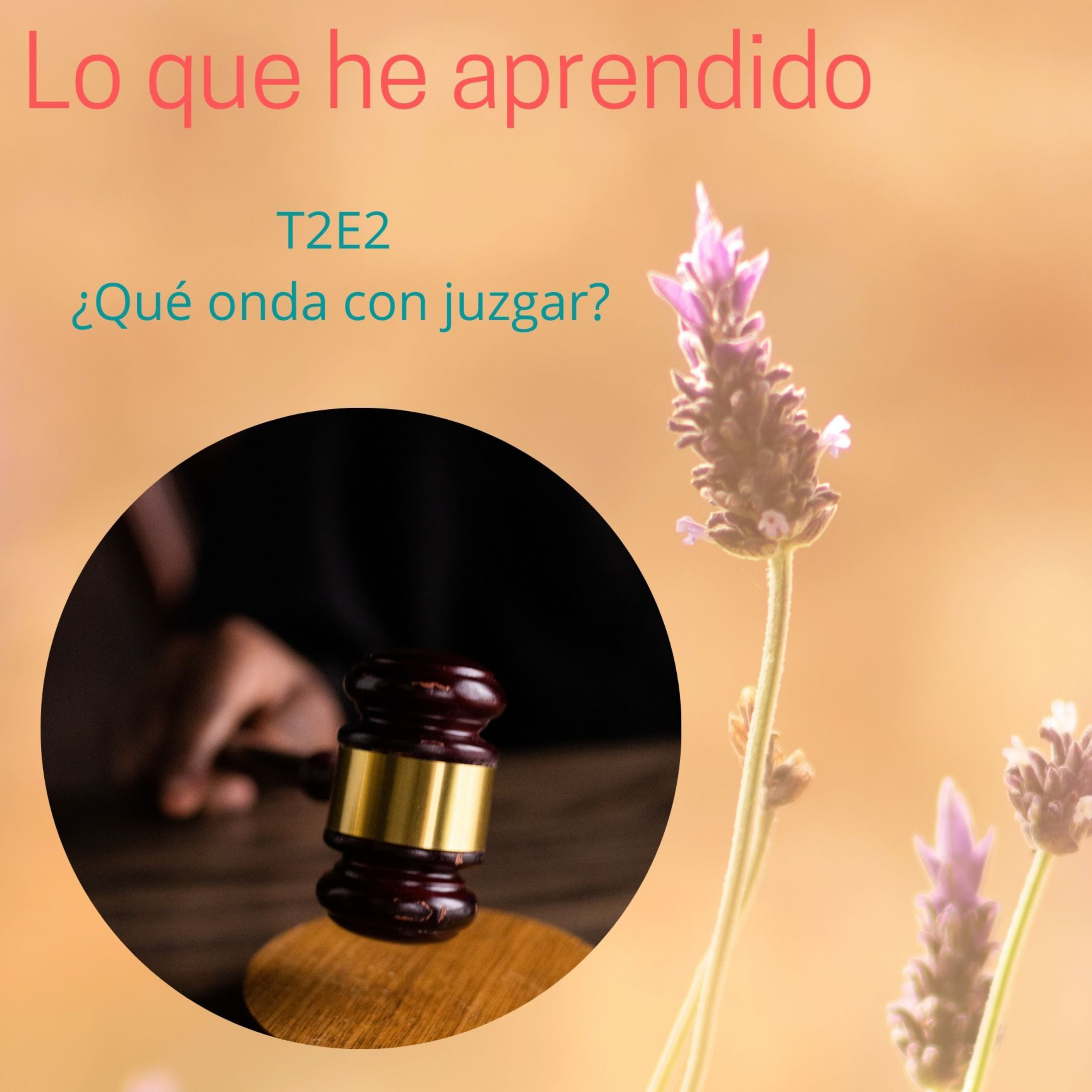 Lo que he aprendido