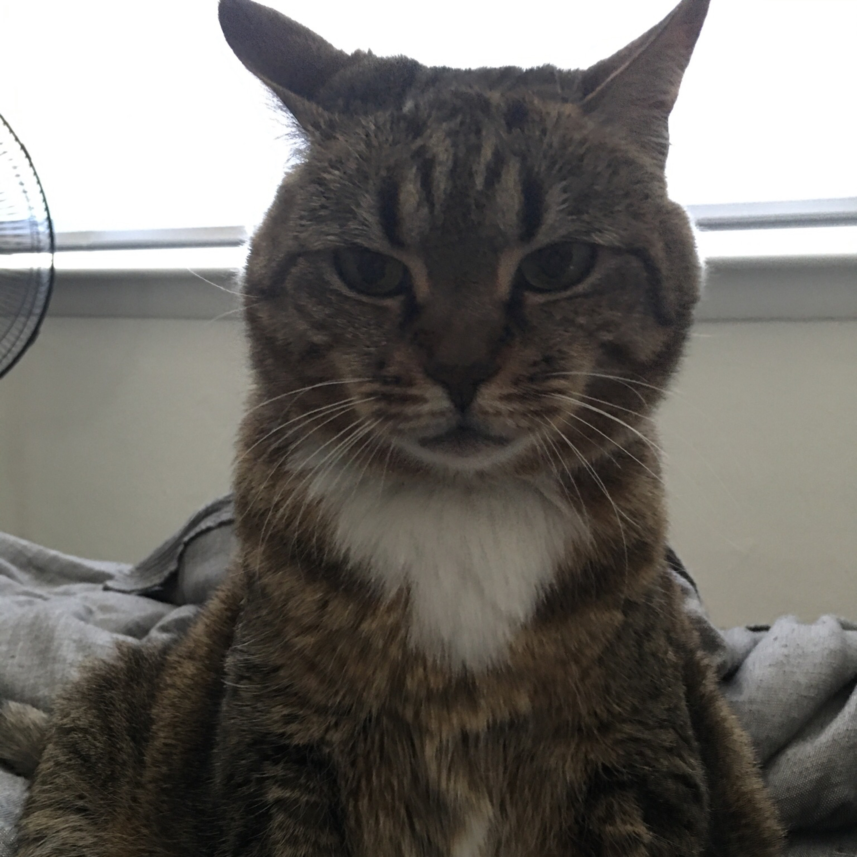 Prompt if you were to write a book about two lovers who fell out of love