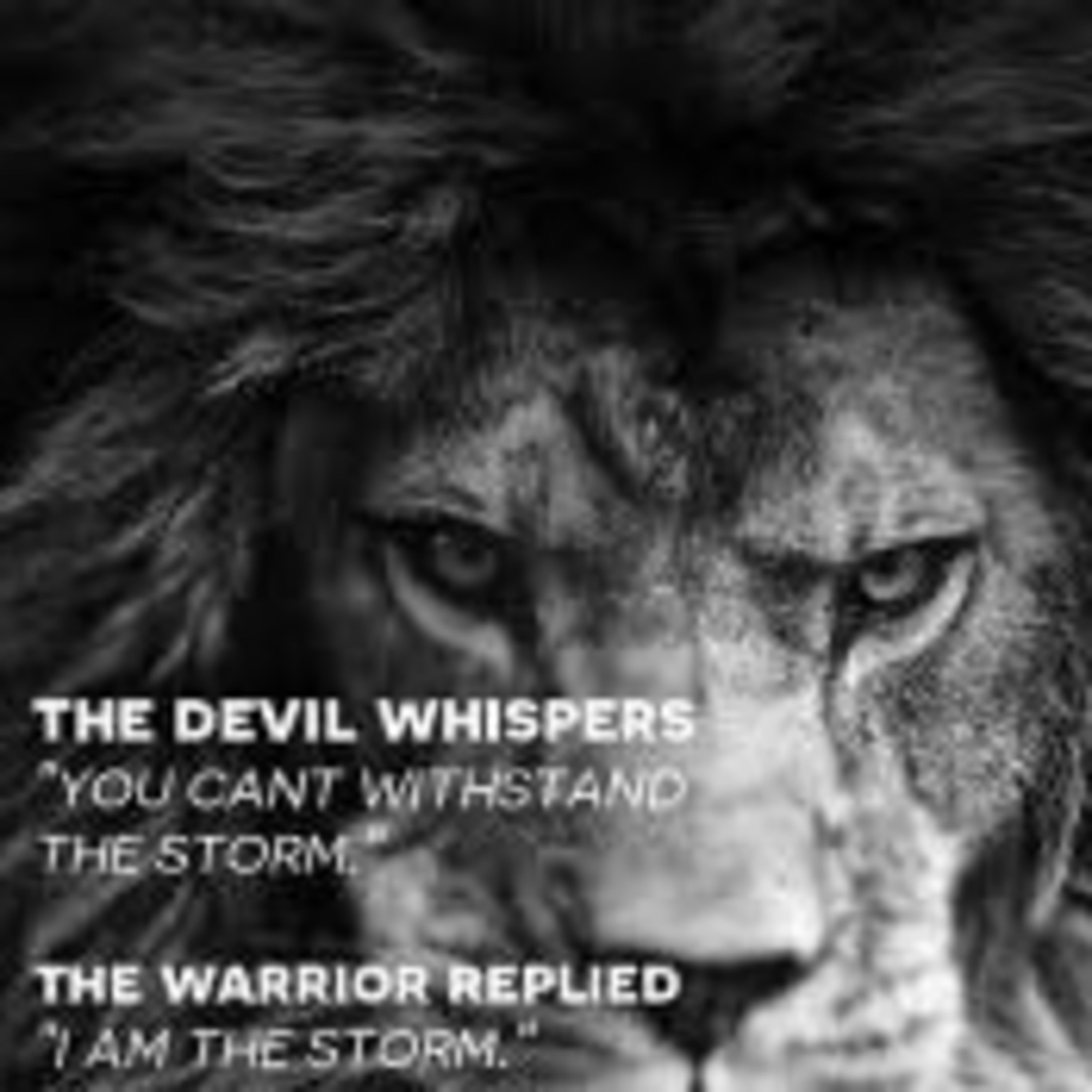 More Than a CONQUEROR