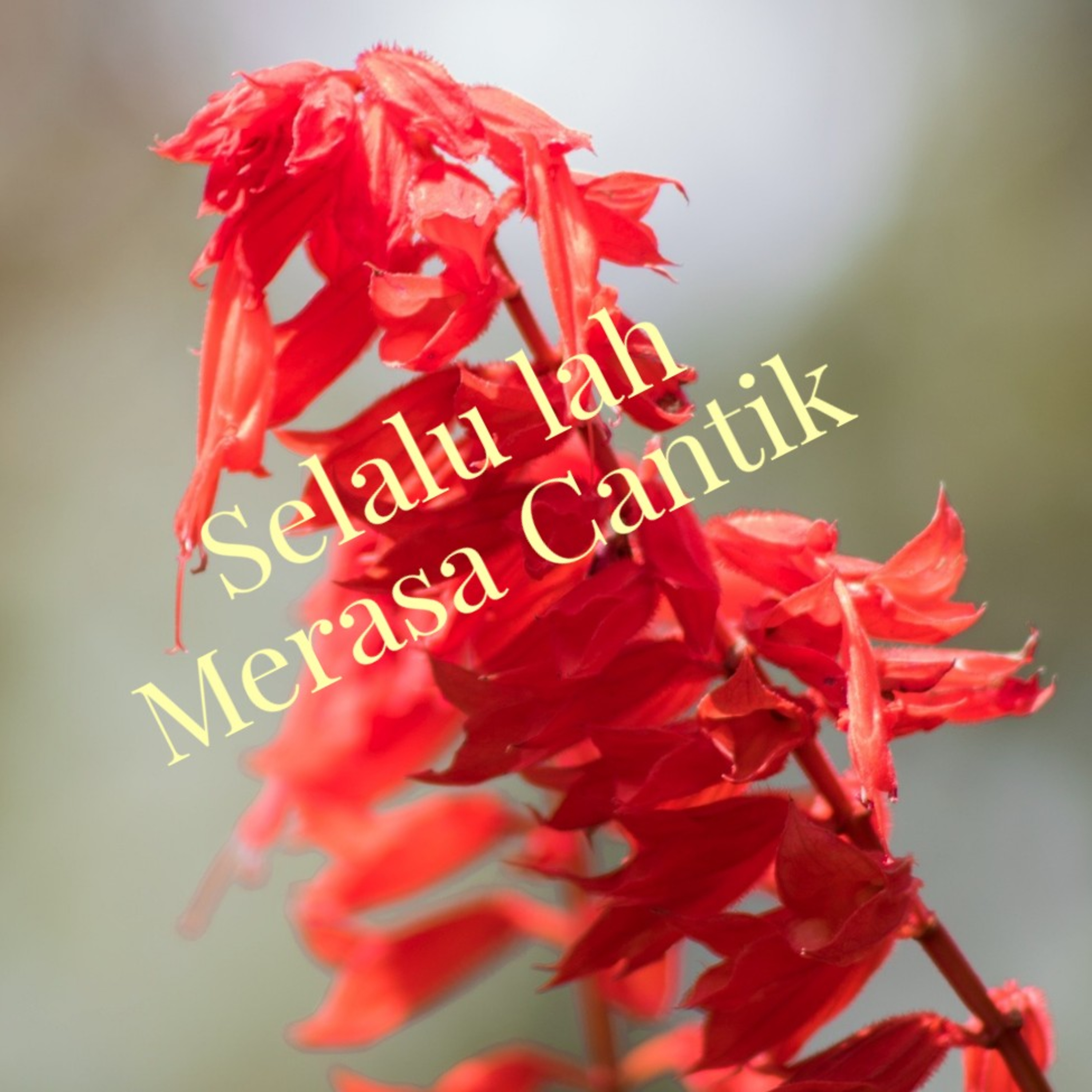 Catatan Kecilku