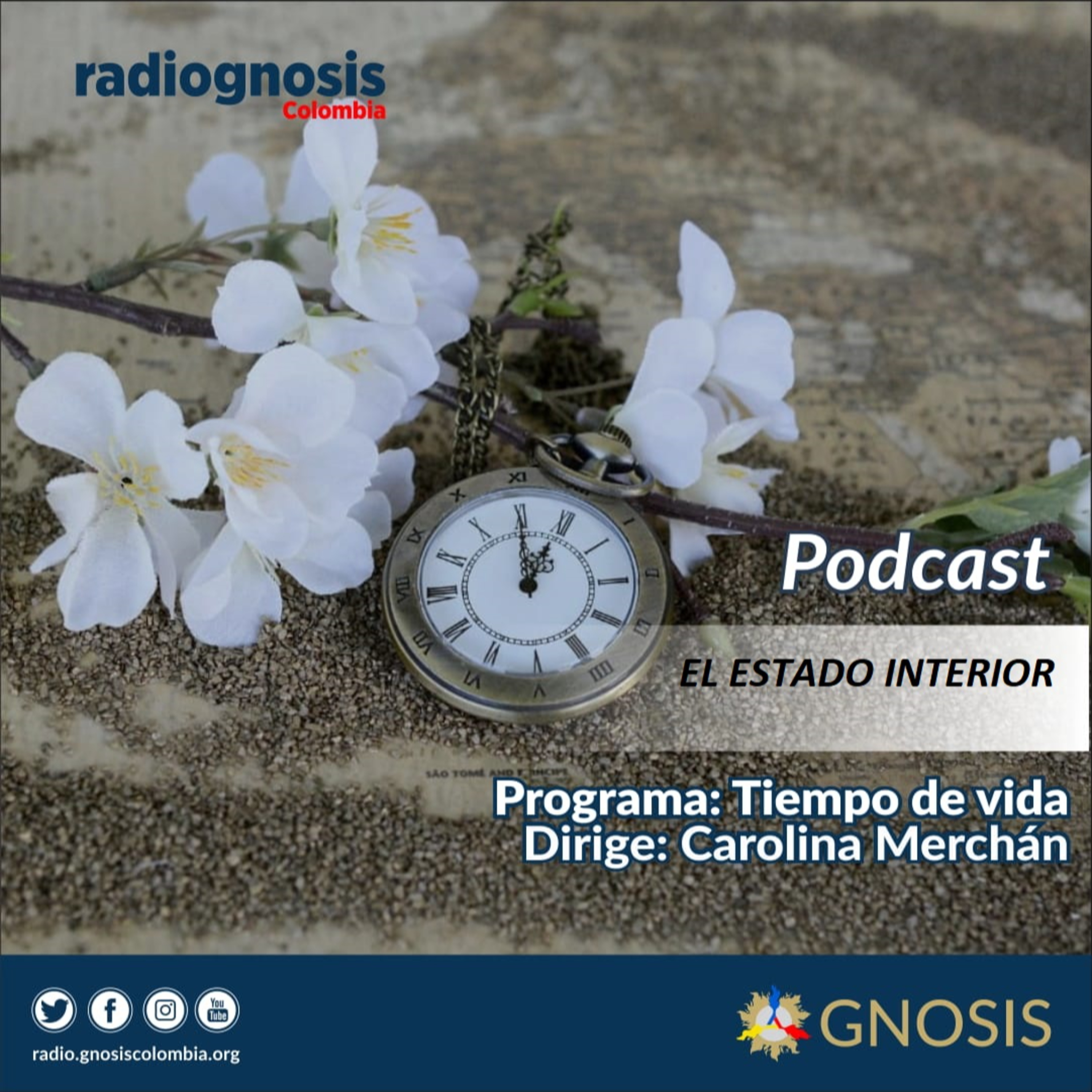 El estado interior episode artwork