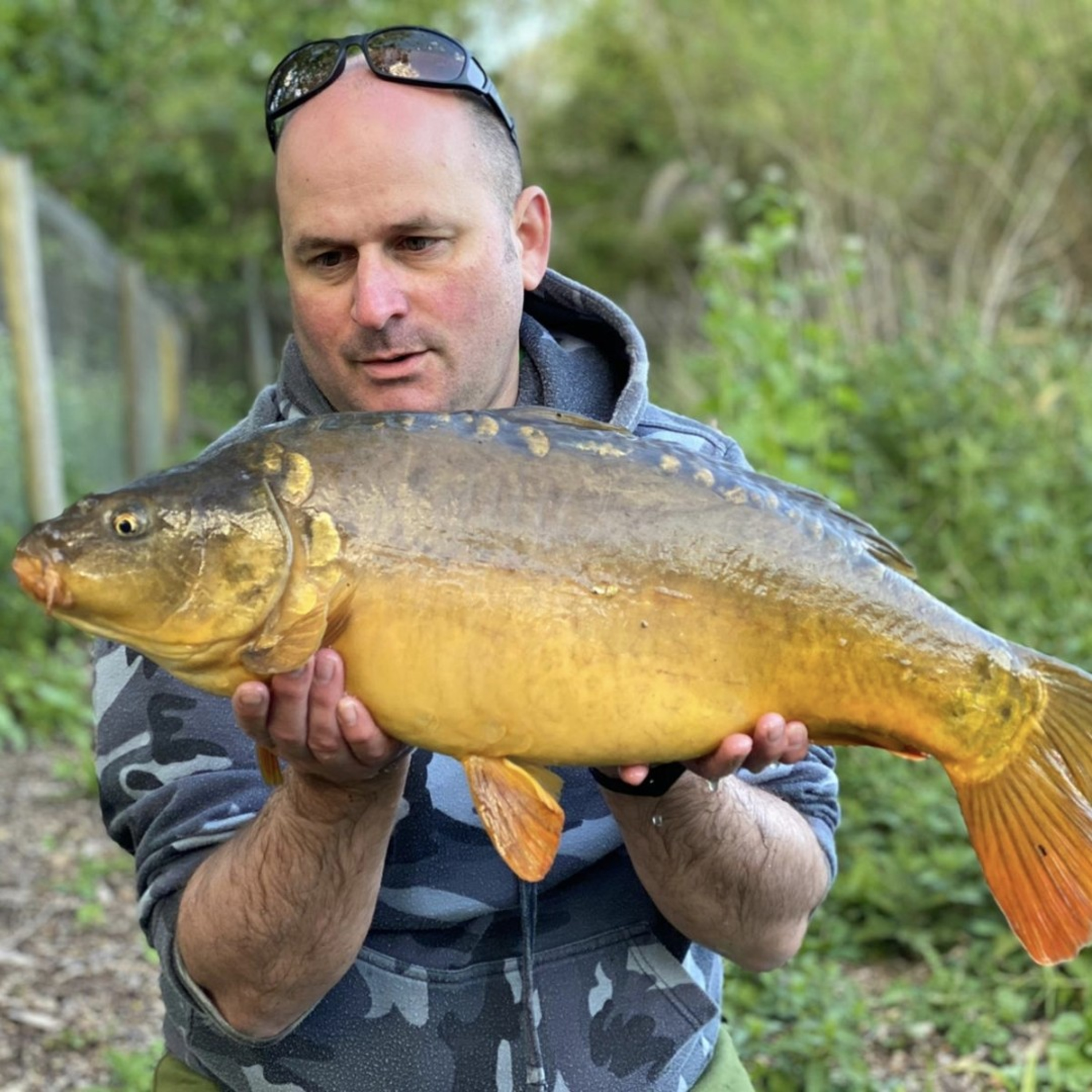 Nandos Lake 002 / Carp Fishing