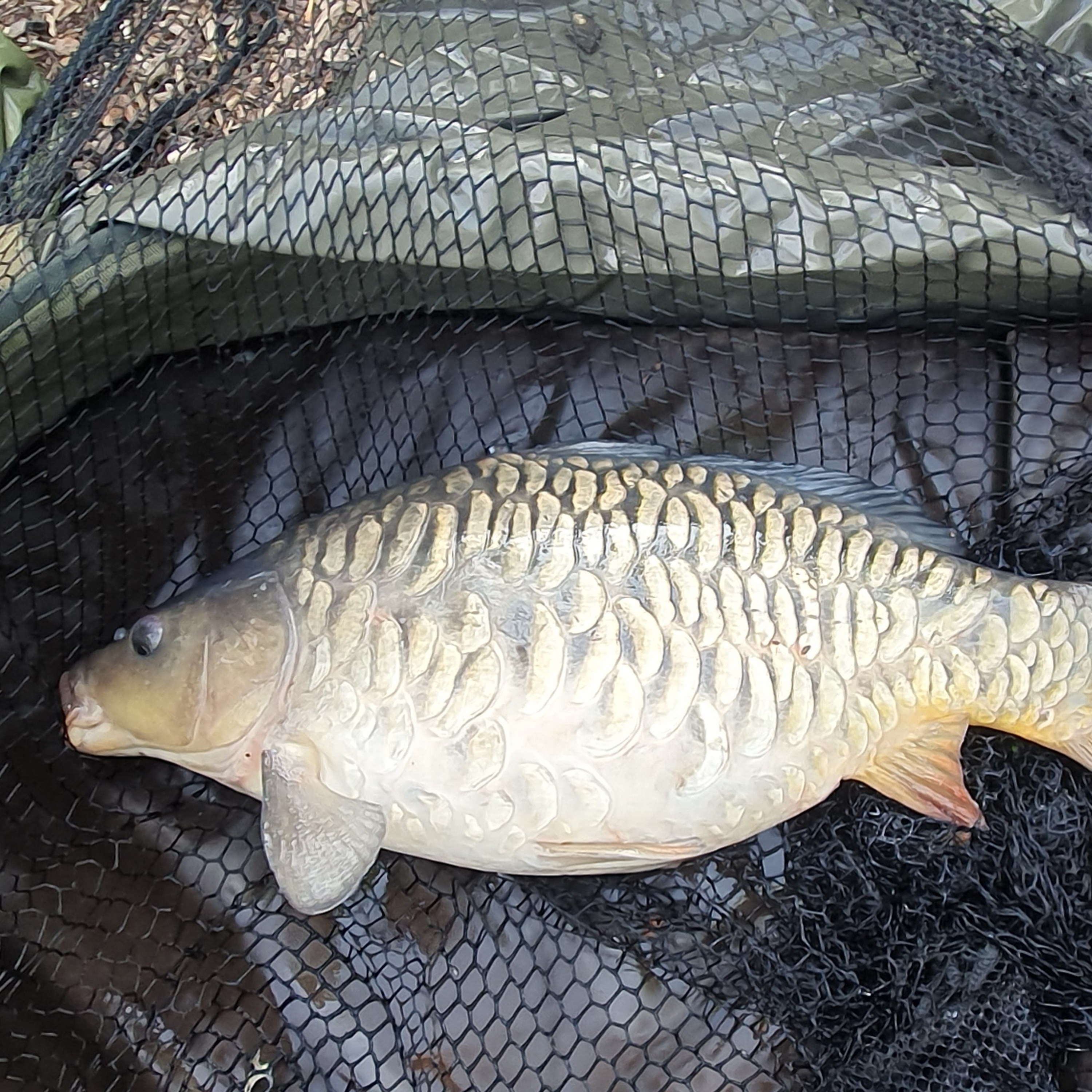 Legends Lake 003 / Carp Fishing