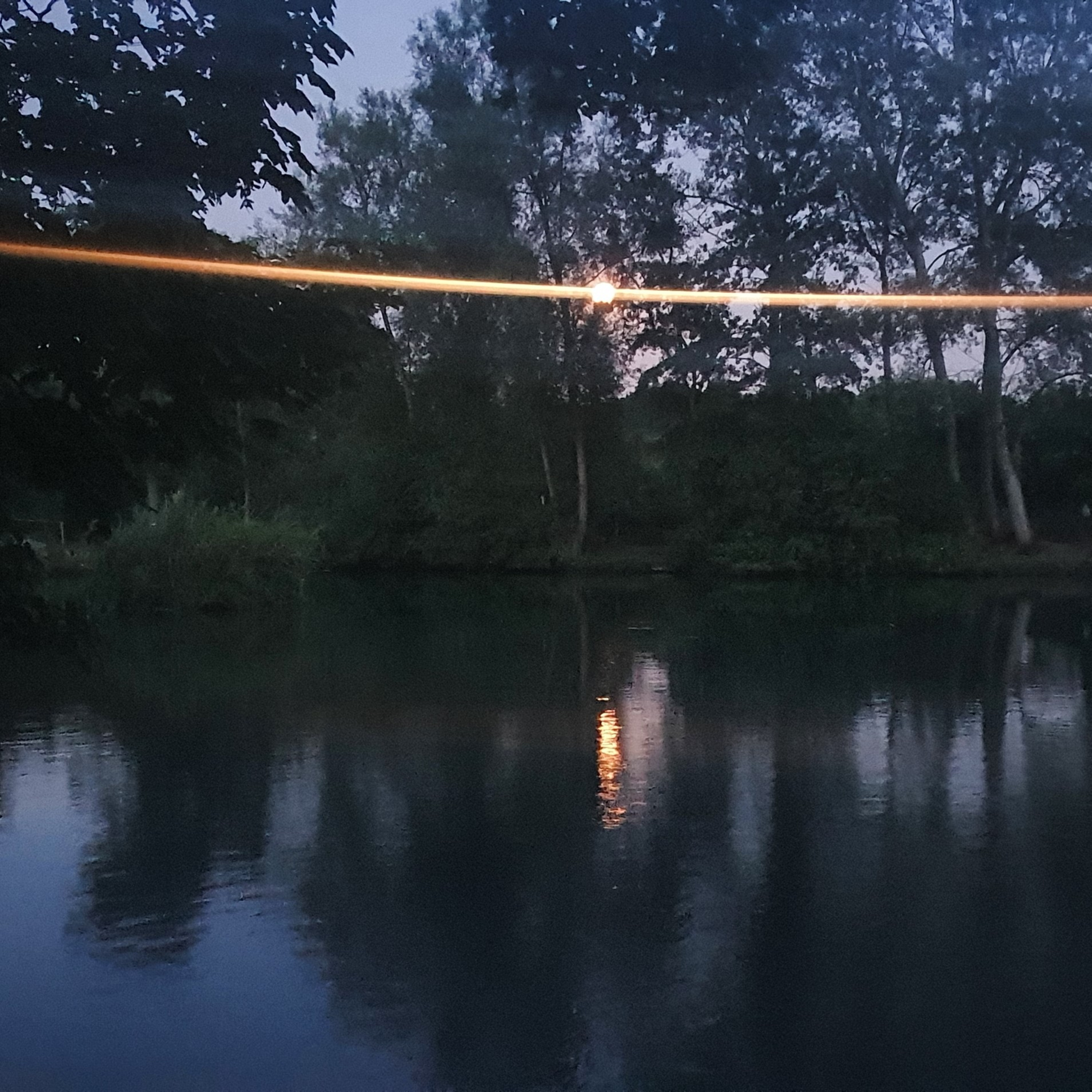 Nandos Lake 007 / Carp Fishing