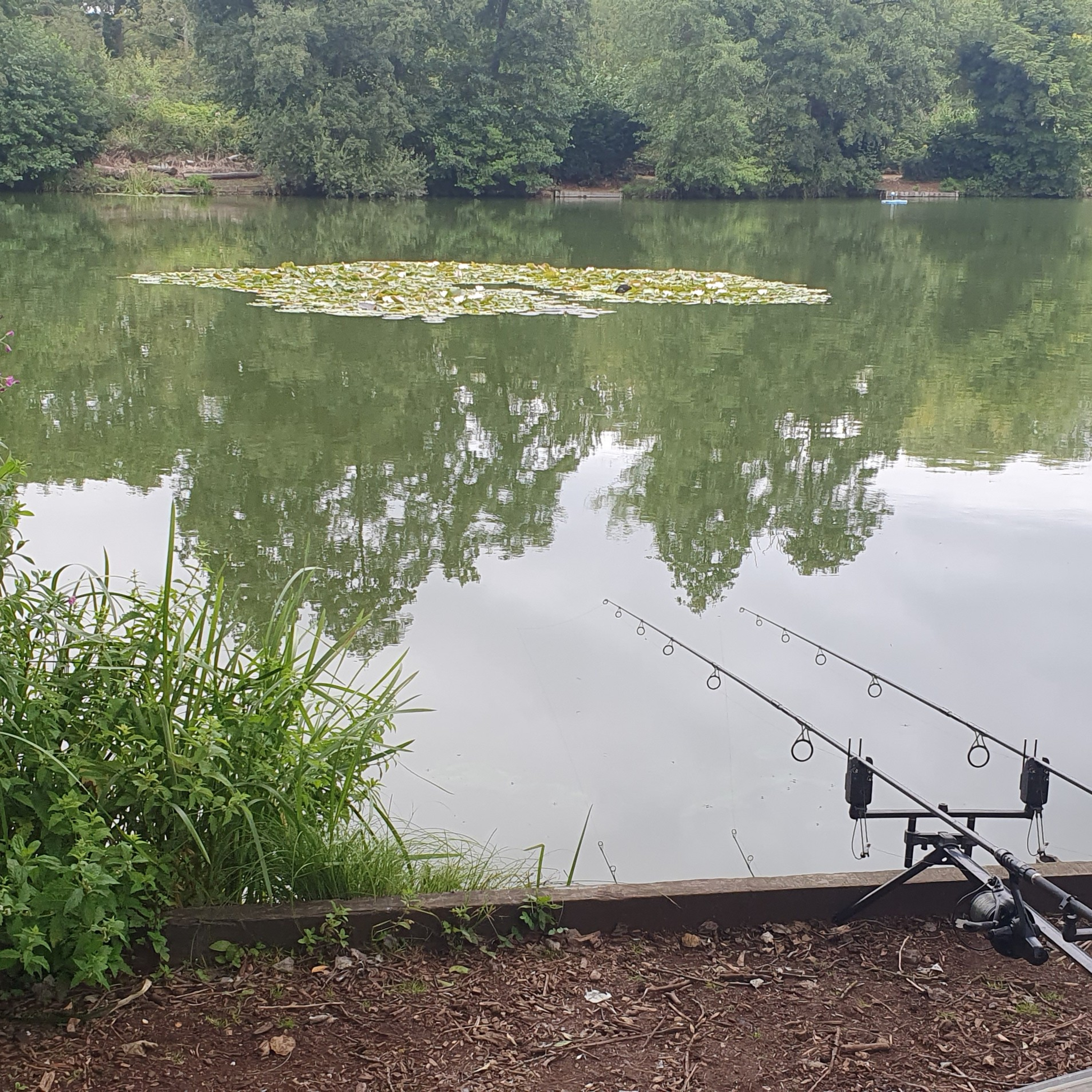 Nandos Lake 012 / Carp Fishing
