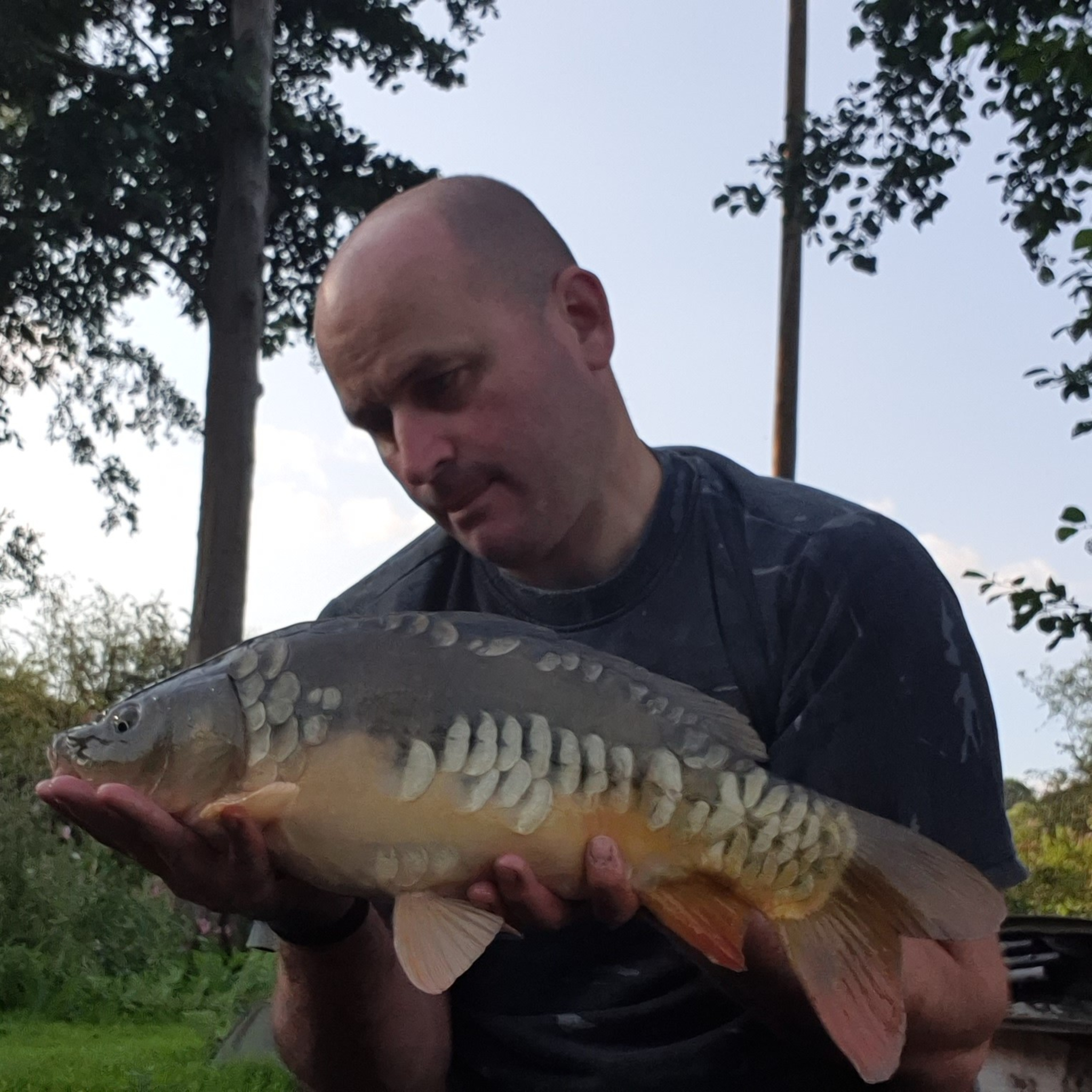 Towers Lake 002 / Carp Fishing