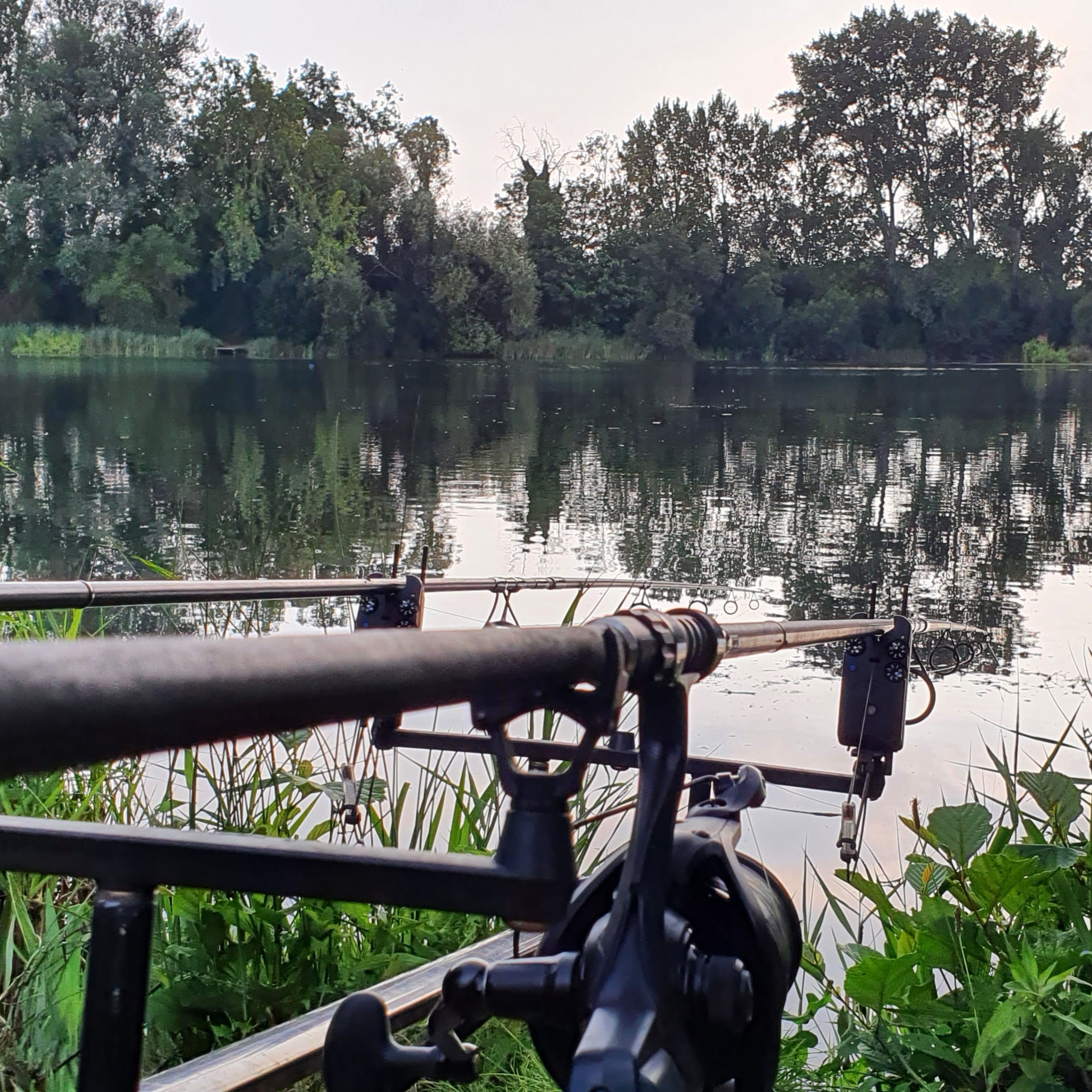 Nandos Lake 014 / Carp Fishing