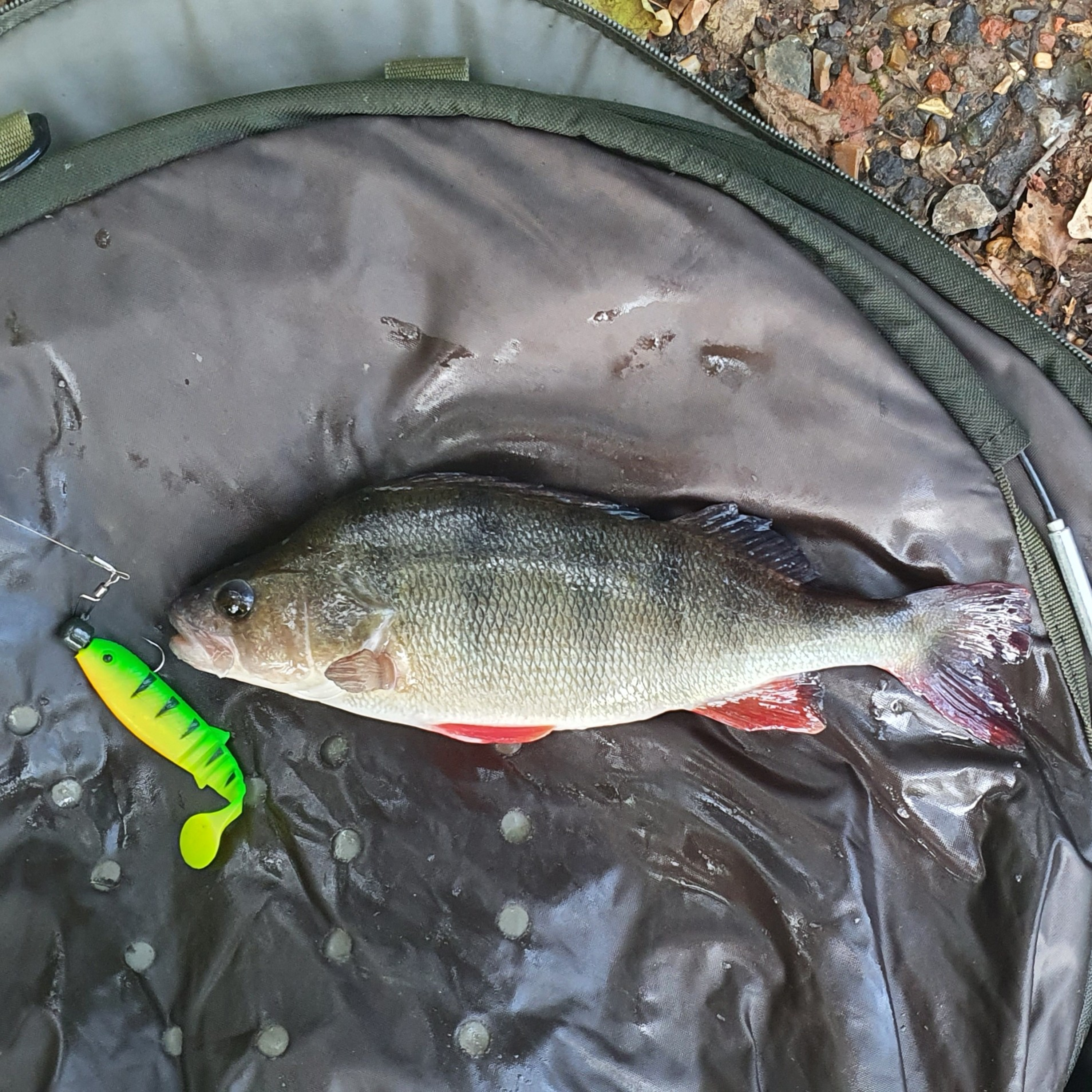 Lure Fishing 002 / Predator Fishing