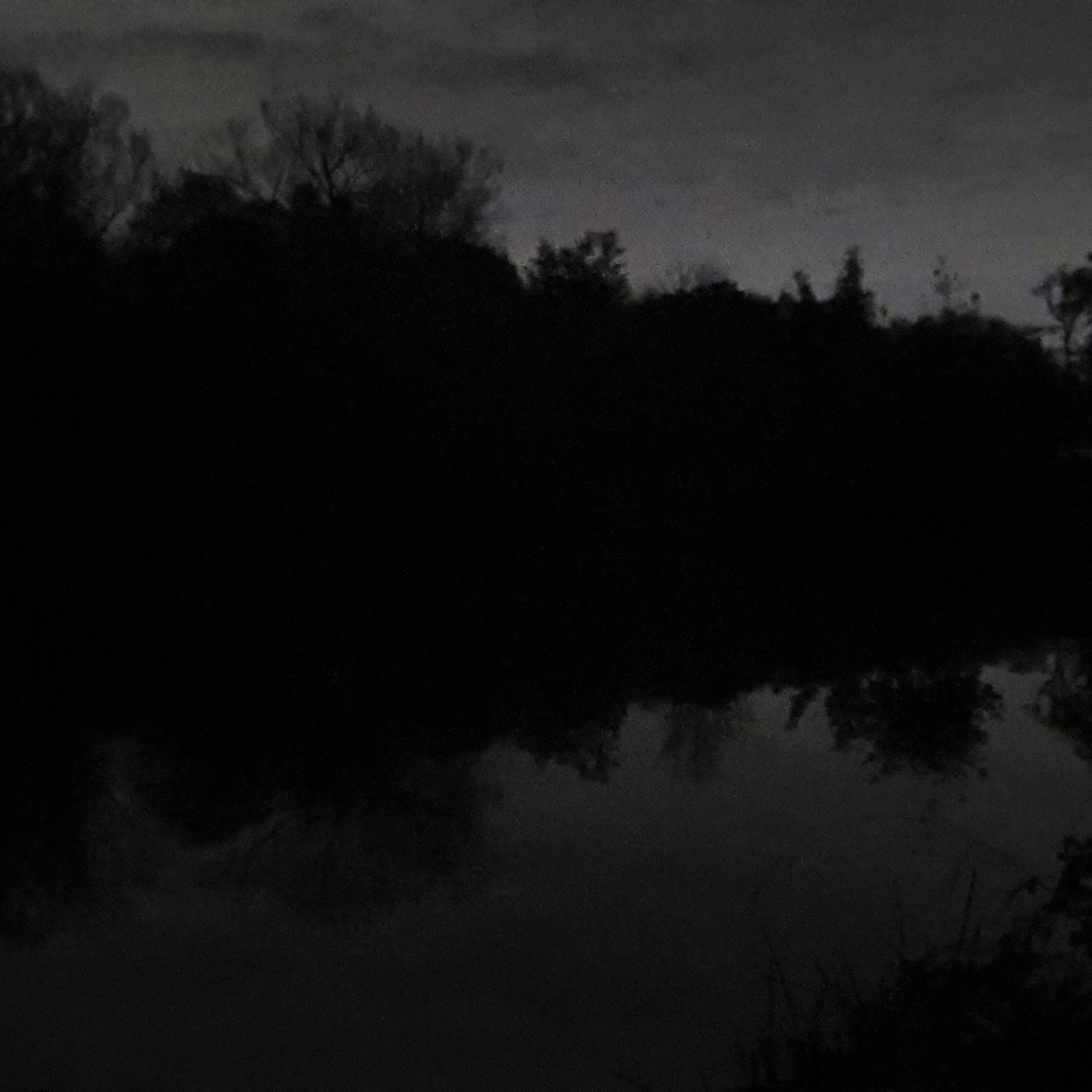 Atkins Lake 003 / Carp Fishing