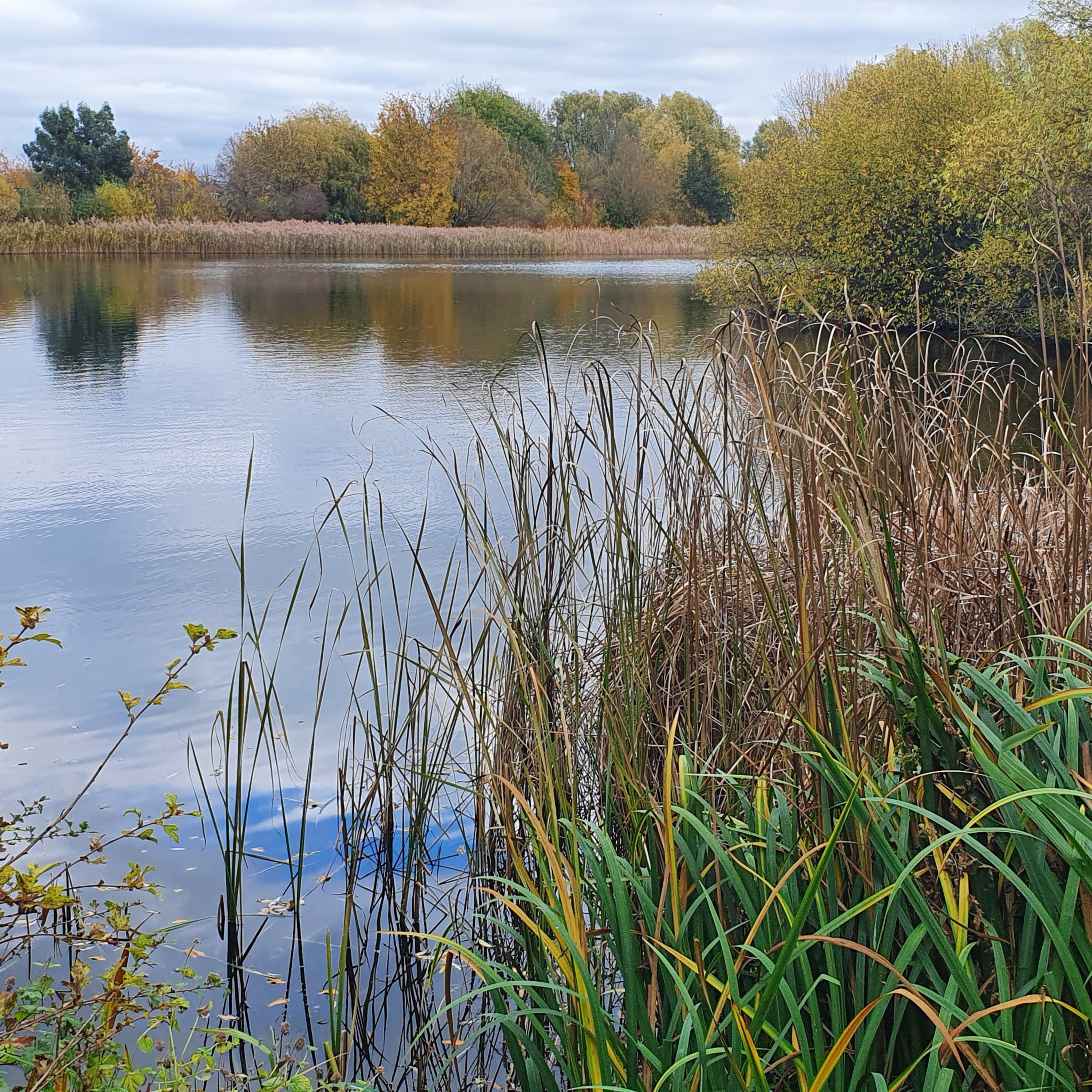 Caldecotte Lake Milton Keynes 003 / Pike Fishing