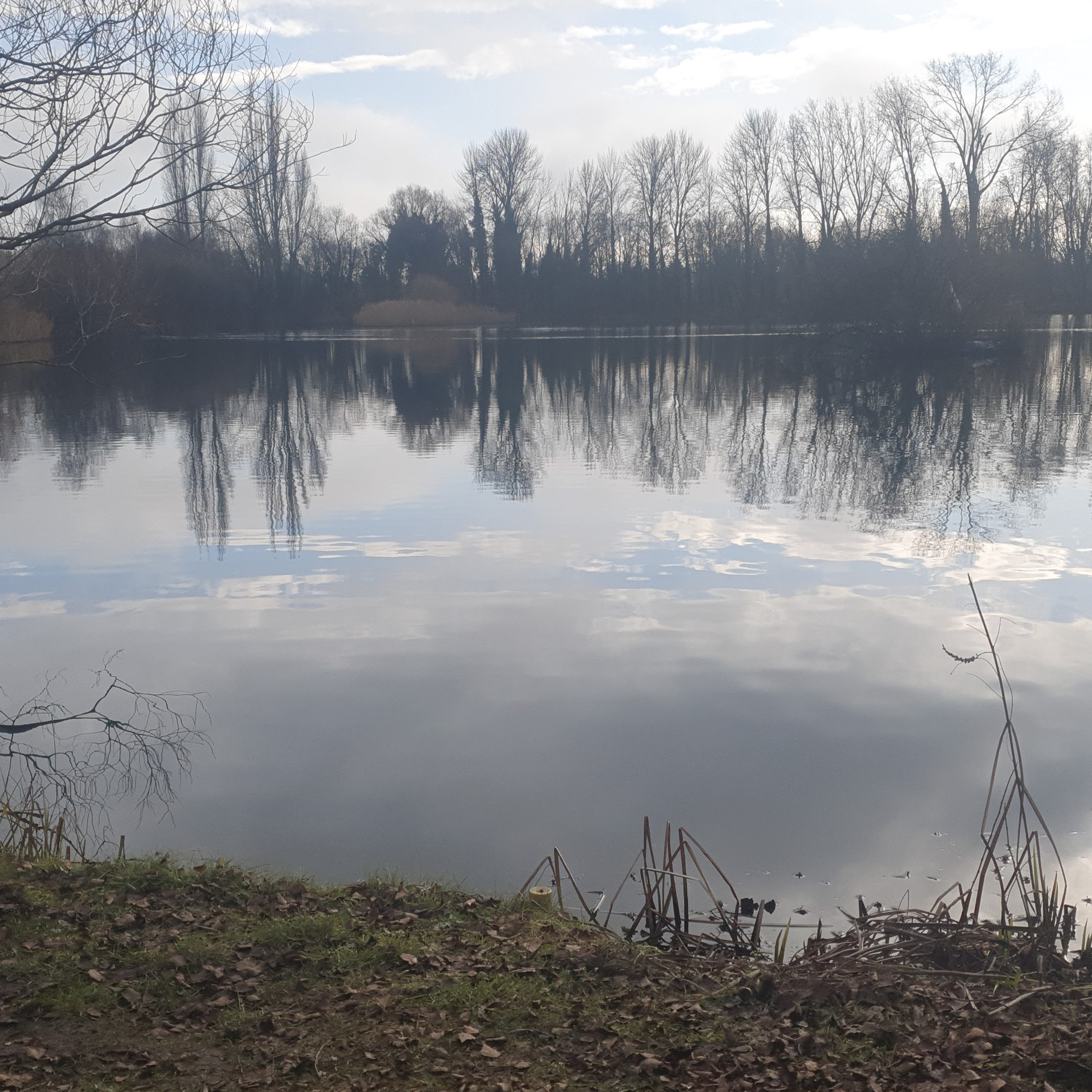 The Noisy Lake 009 / Carp Fishing