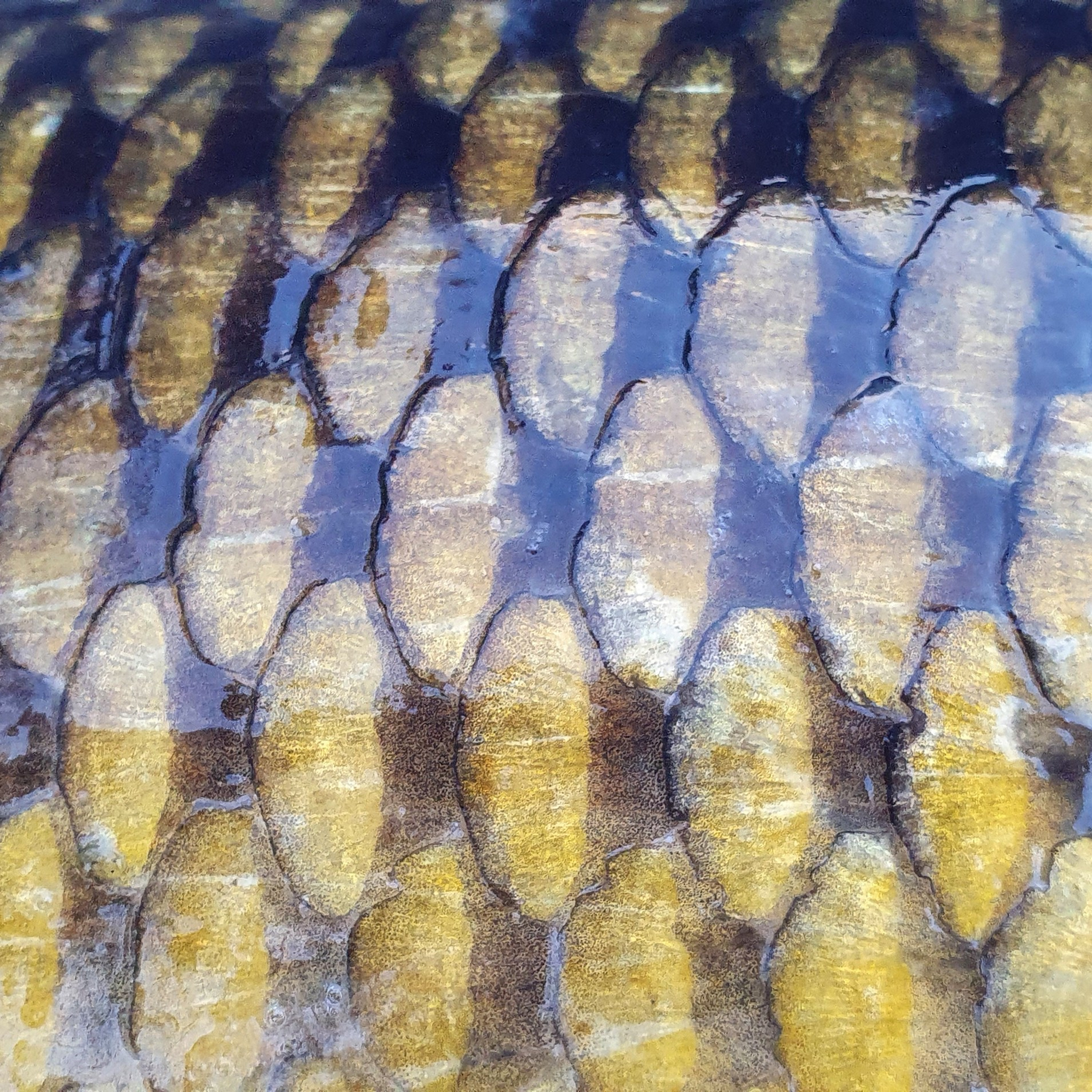 The Noisy Lake 010 / Carp Fishing