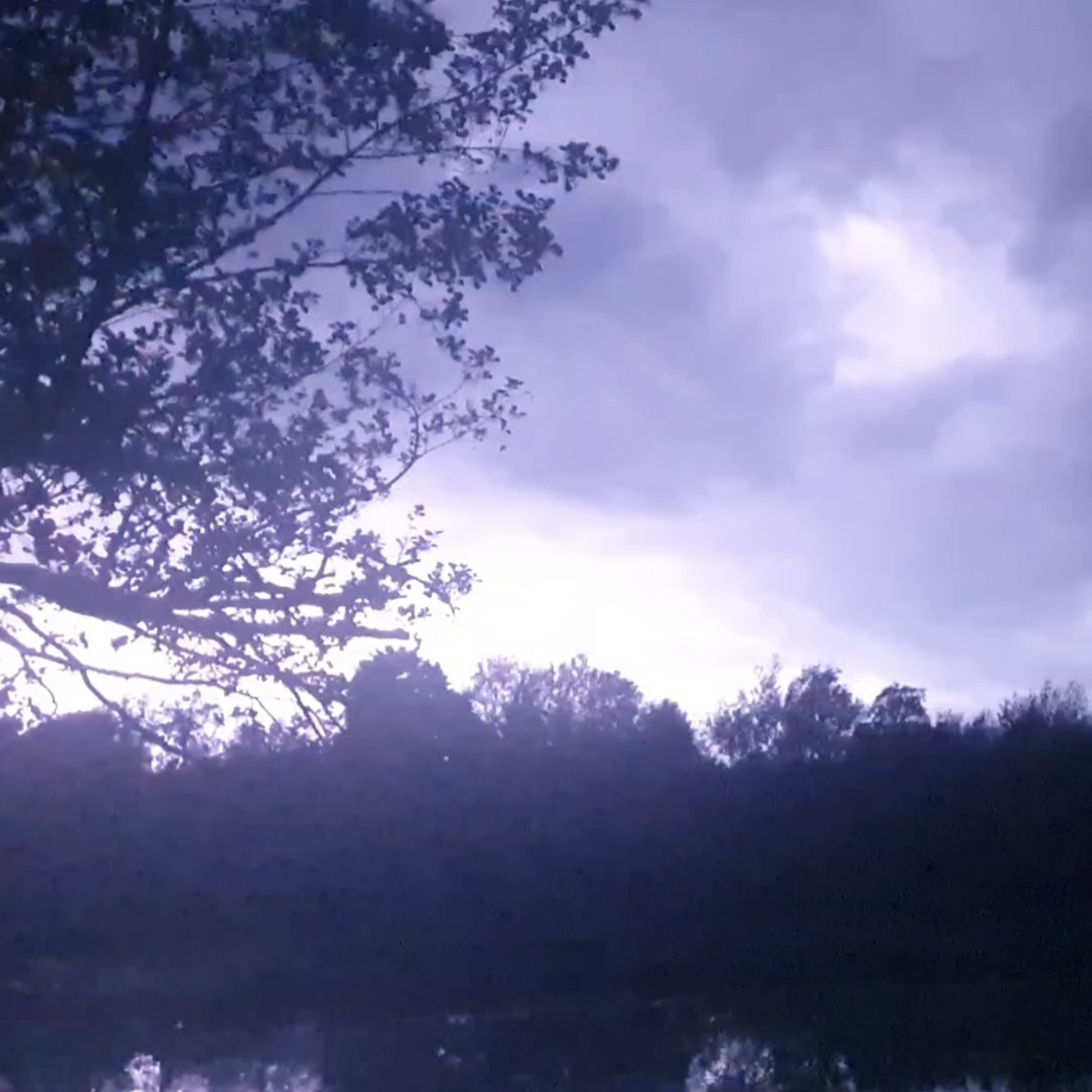 Legends Lake 015 / Carp Fishing / E96