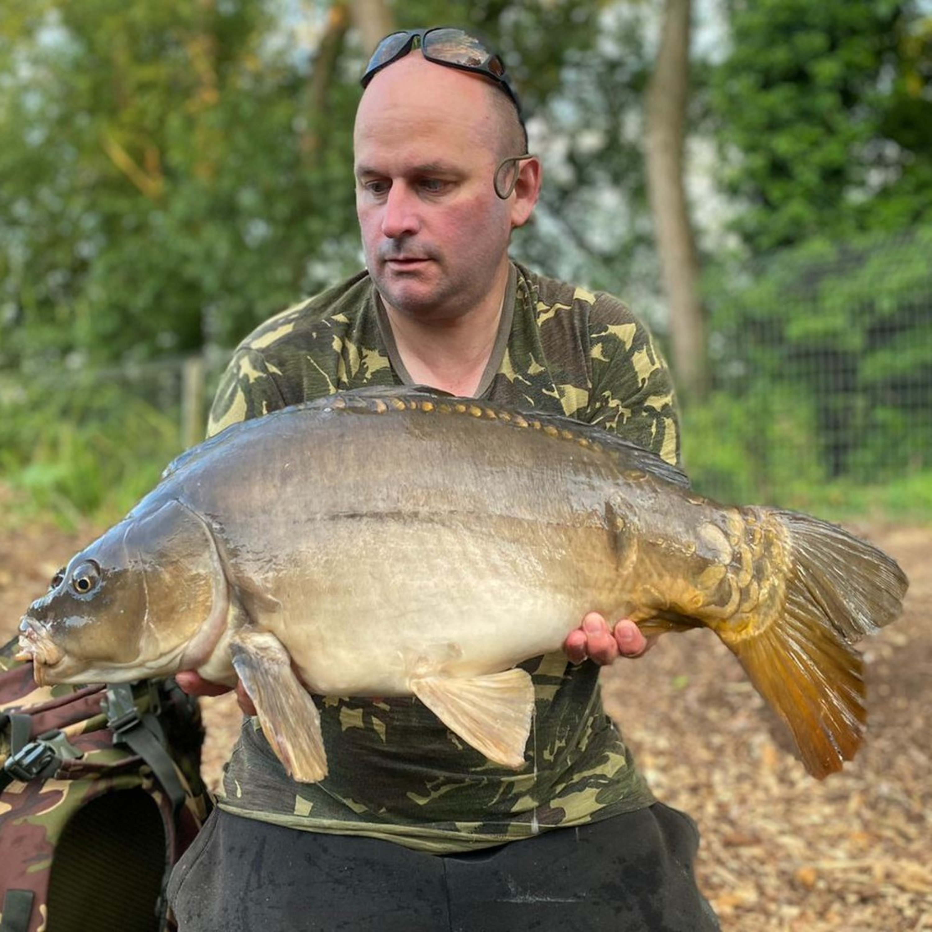 Surface Fishing 002 / Carp Fishing / E100