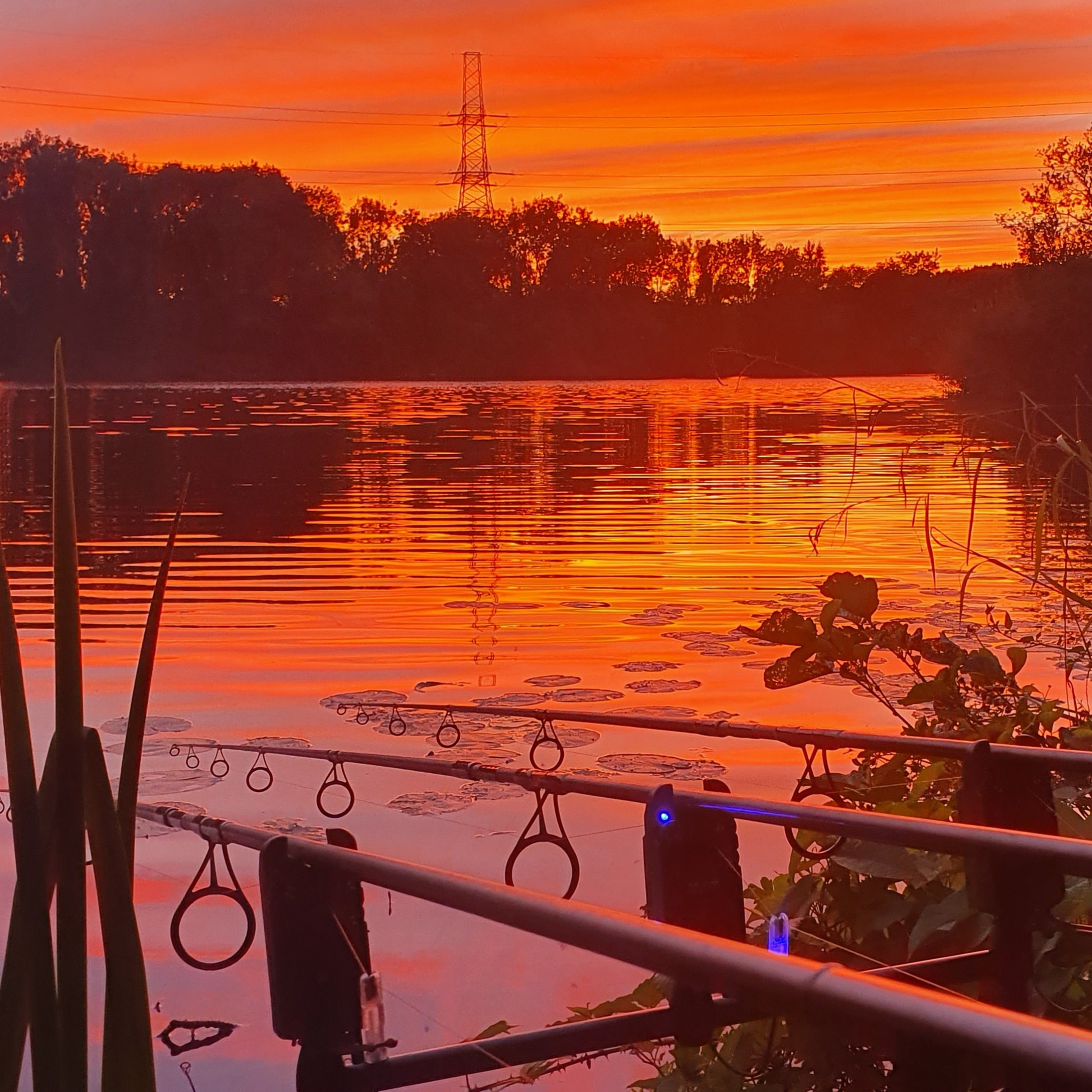Lily Lake 001 / Carp Fishing / E106