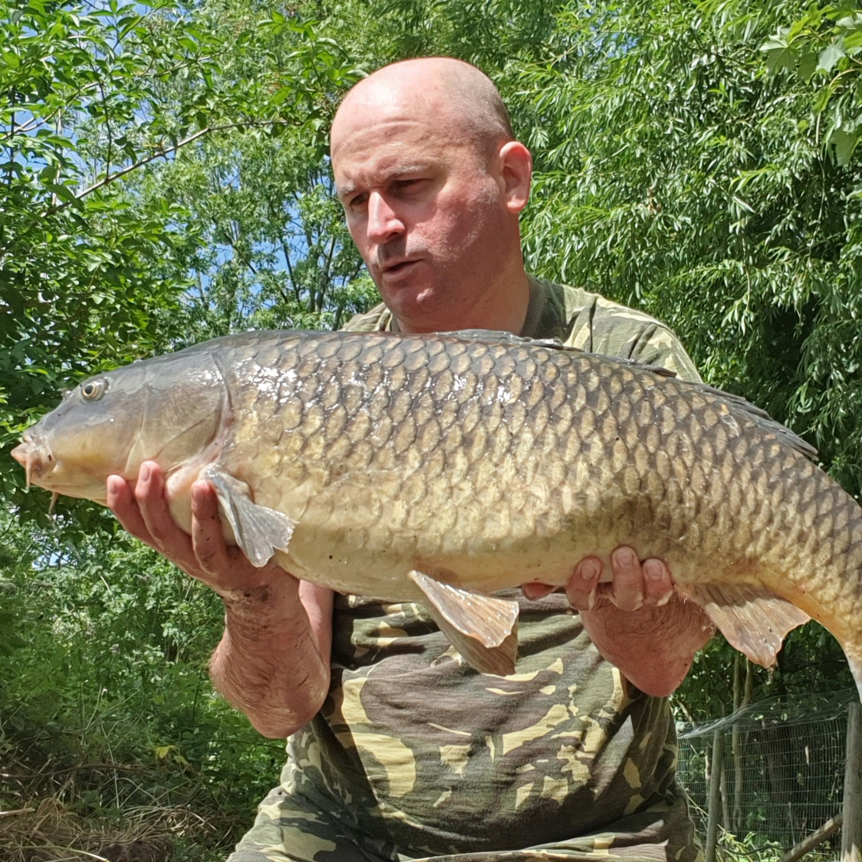 Surface Fishing 007 / Carp Fishing / E108