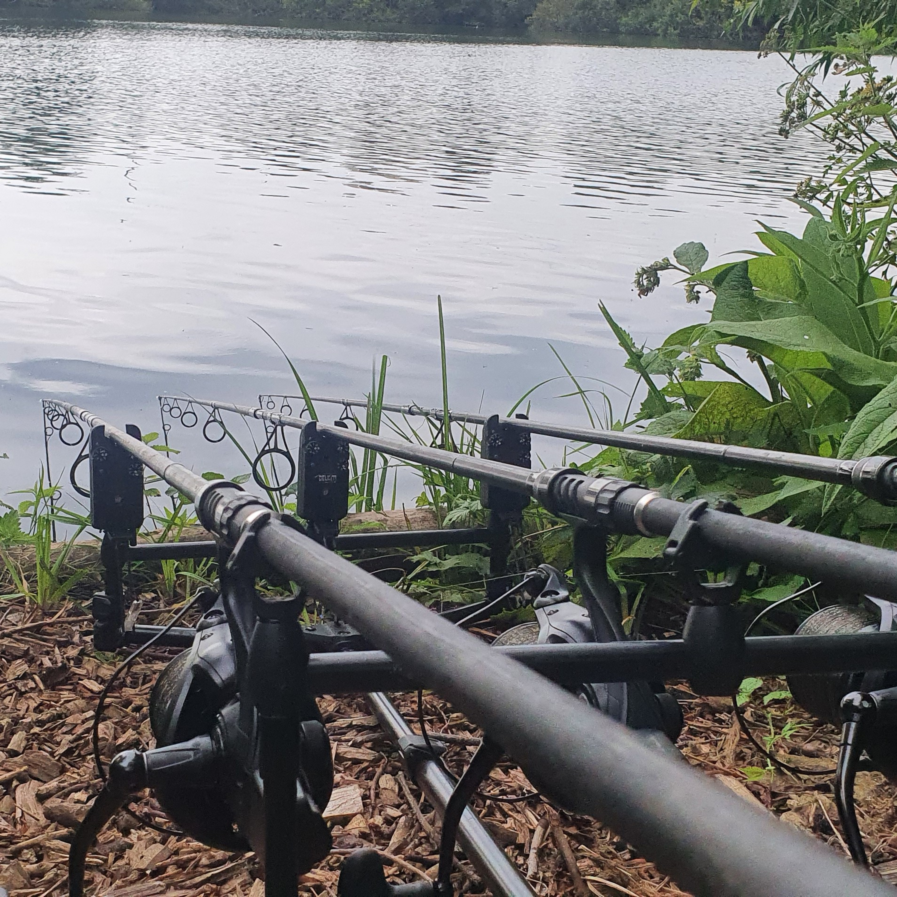 Lily Lake 002 / Carp Fishing / E109