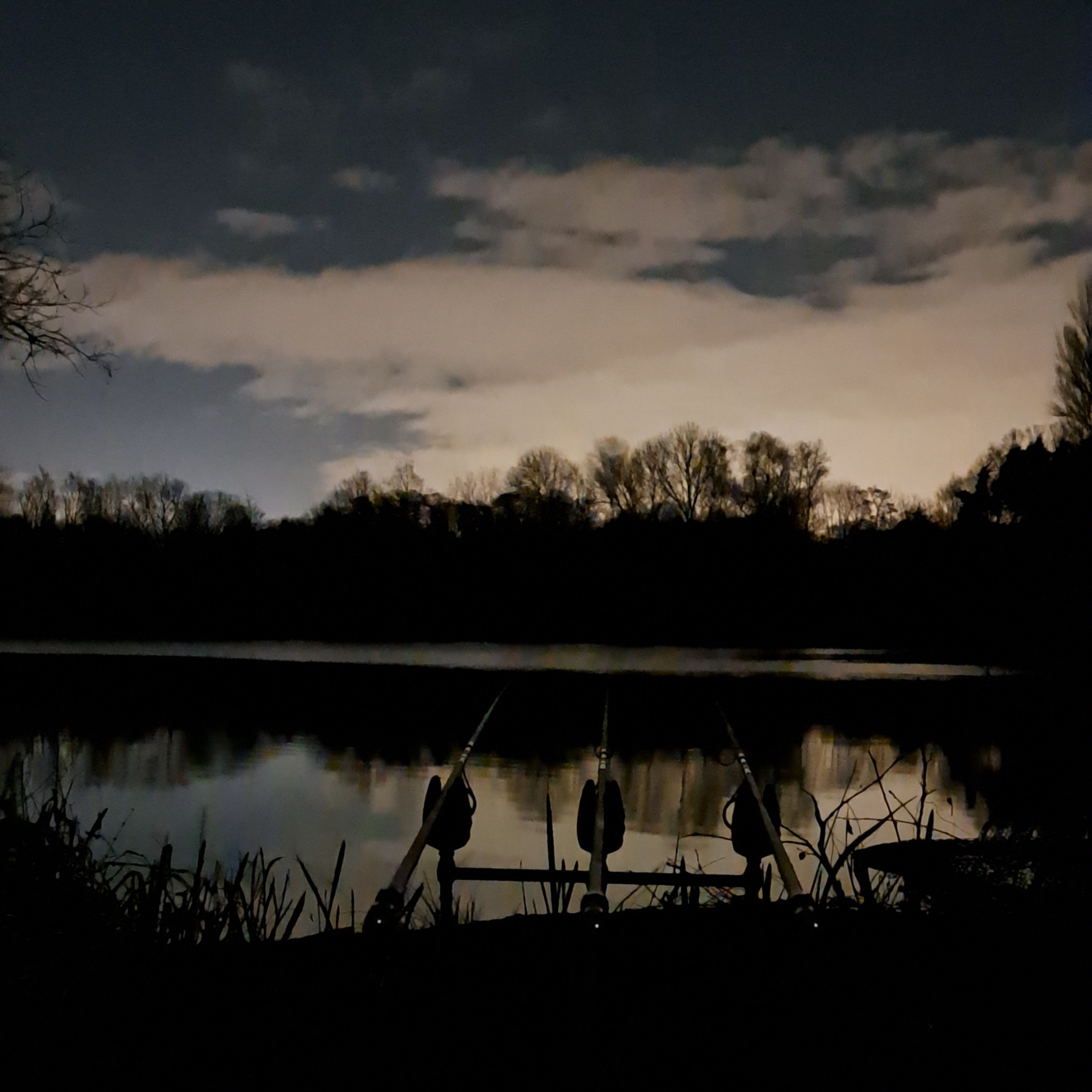 Lily Lake 012 / Carp Fishing / E137
