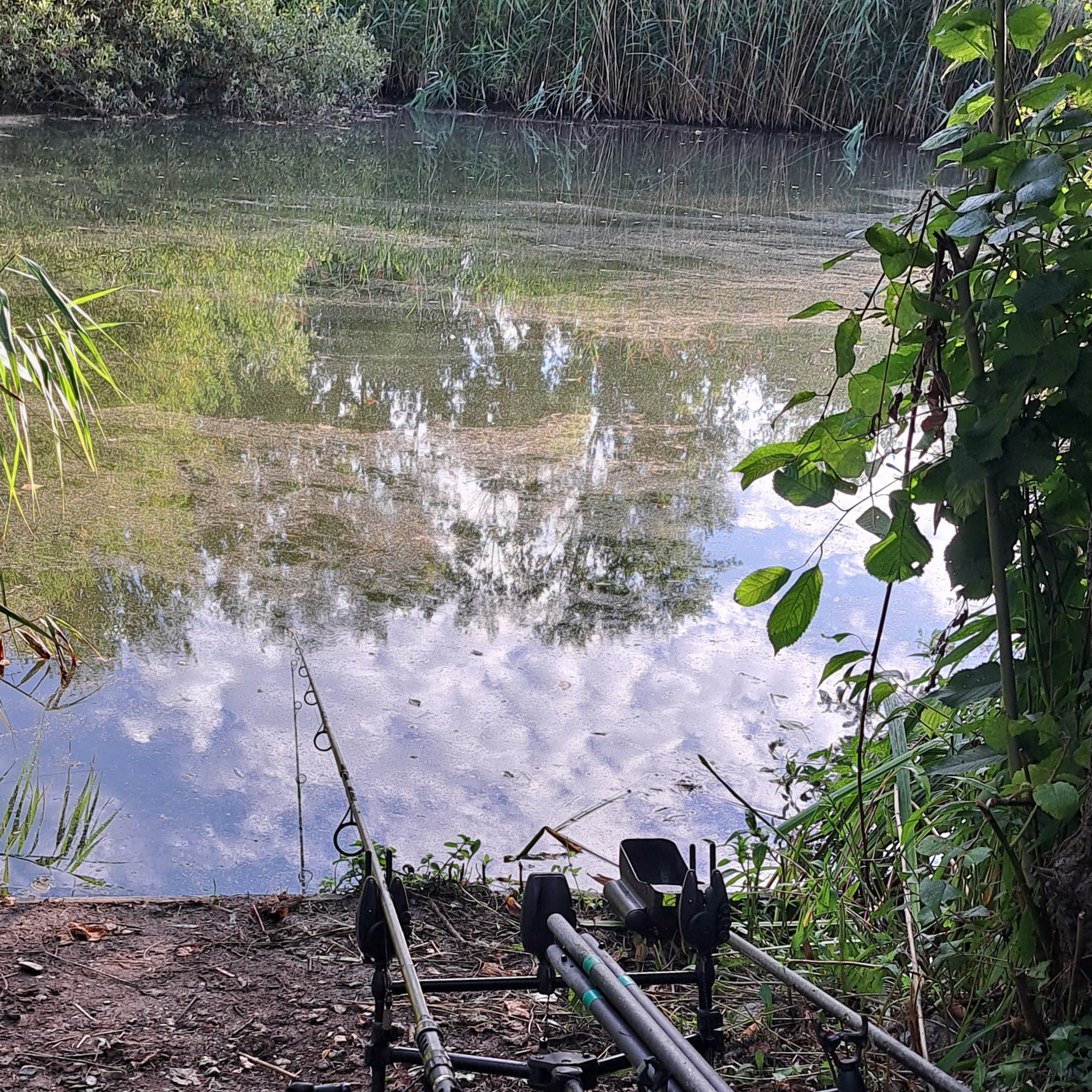 The Noisy Lake 016 / Carp Fishing / E155