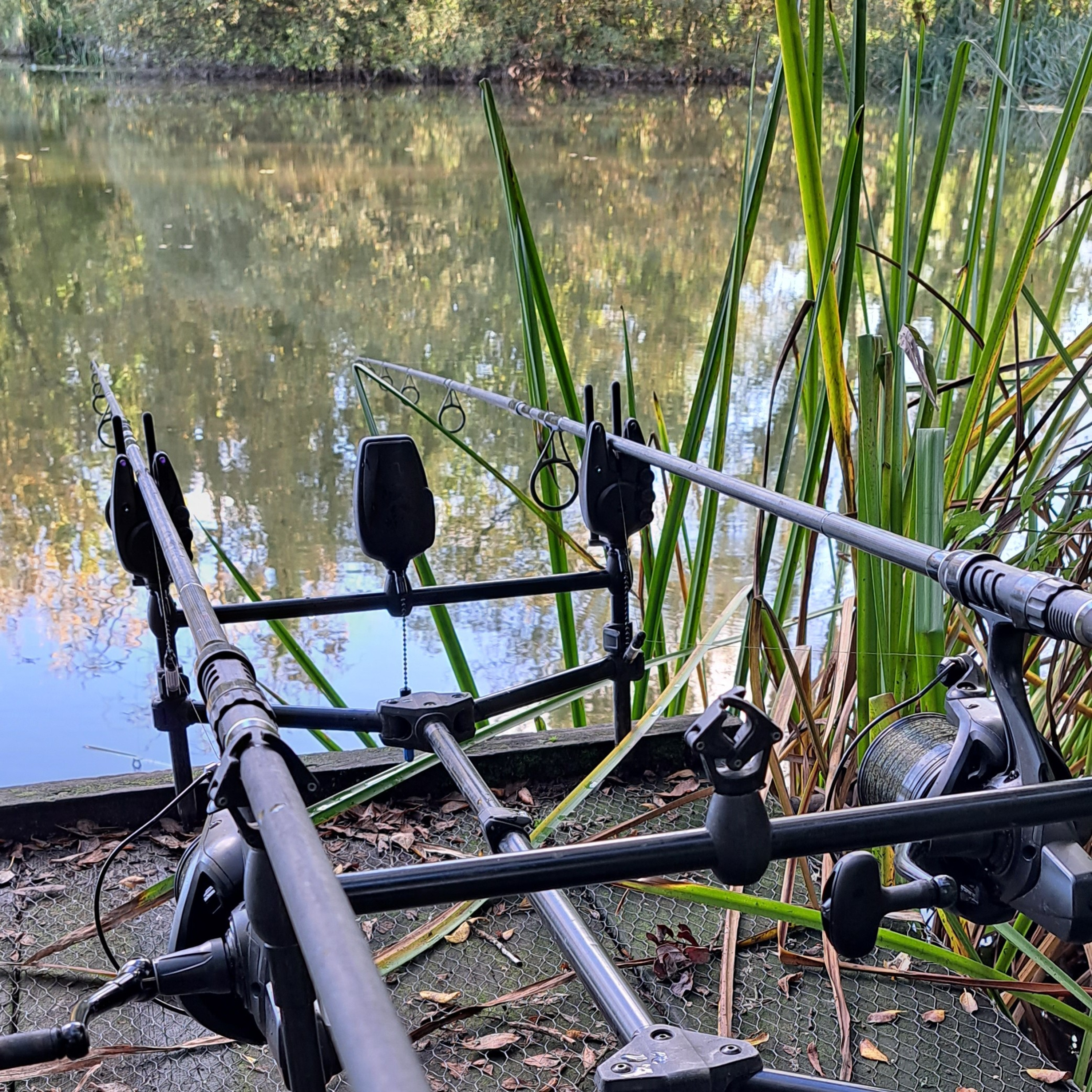 Lily Lake 015 / Carp Fishing / E161