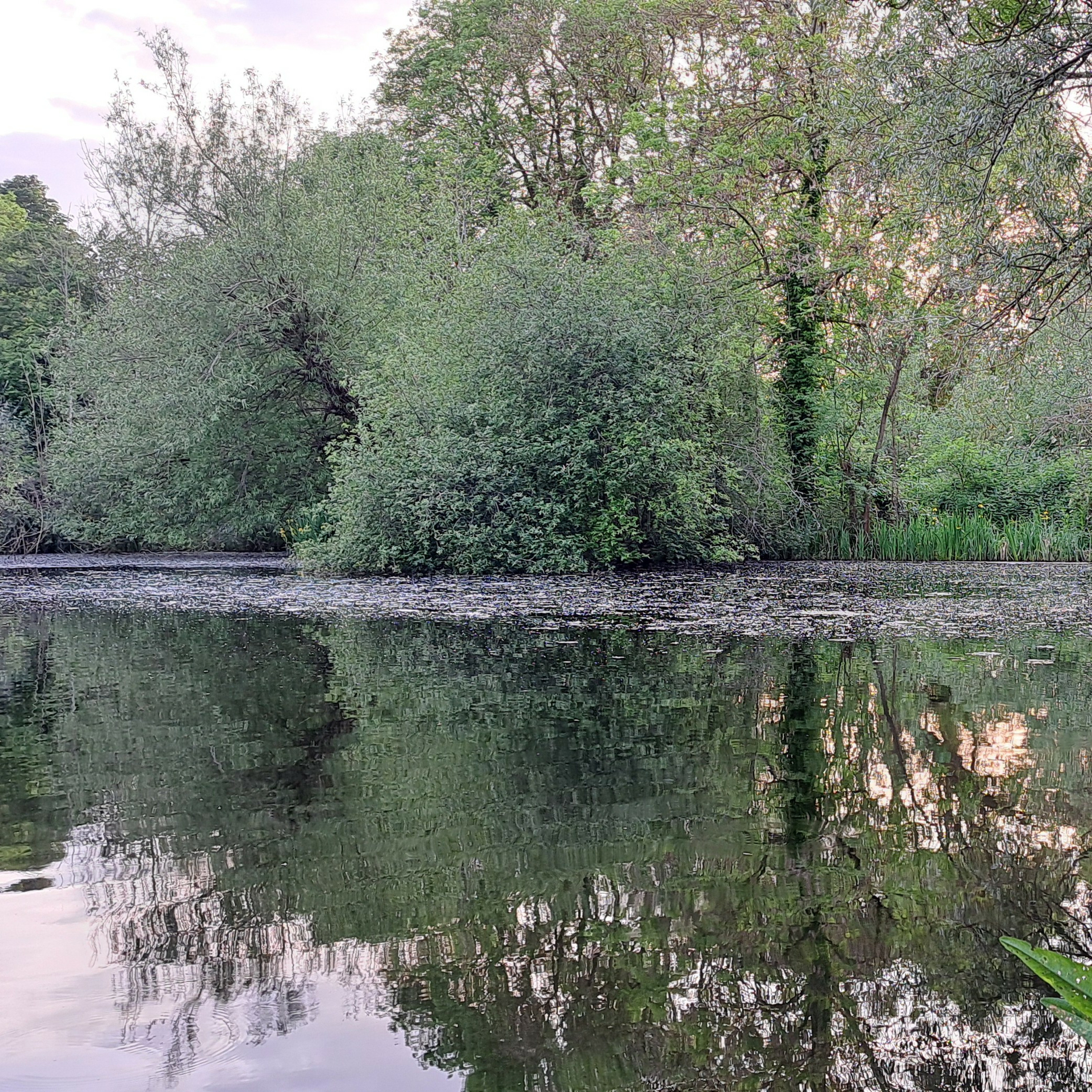 Surface Fishing 011 / Carp Fishing / E195