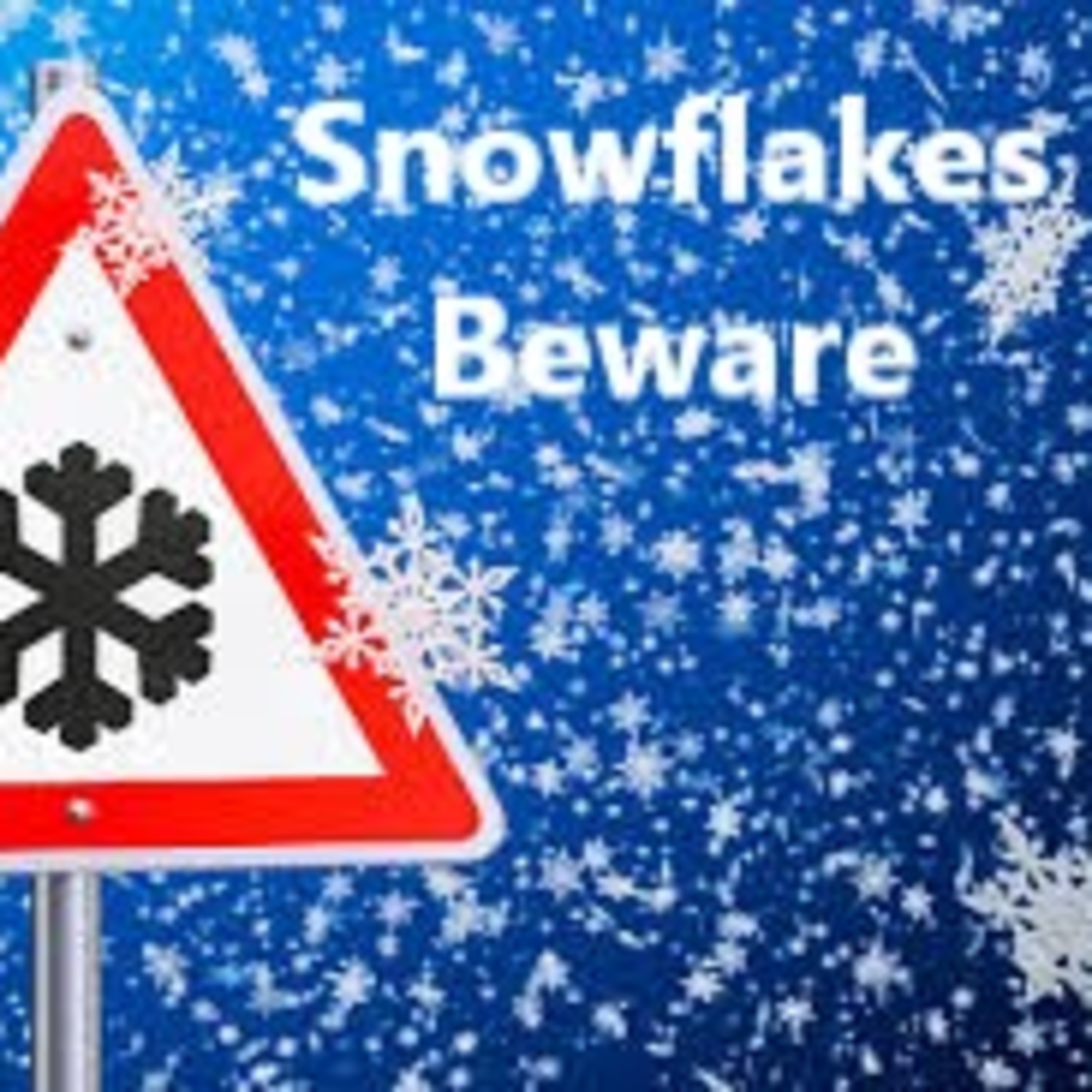 Snowflakes Beware episode artwork