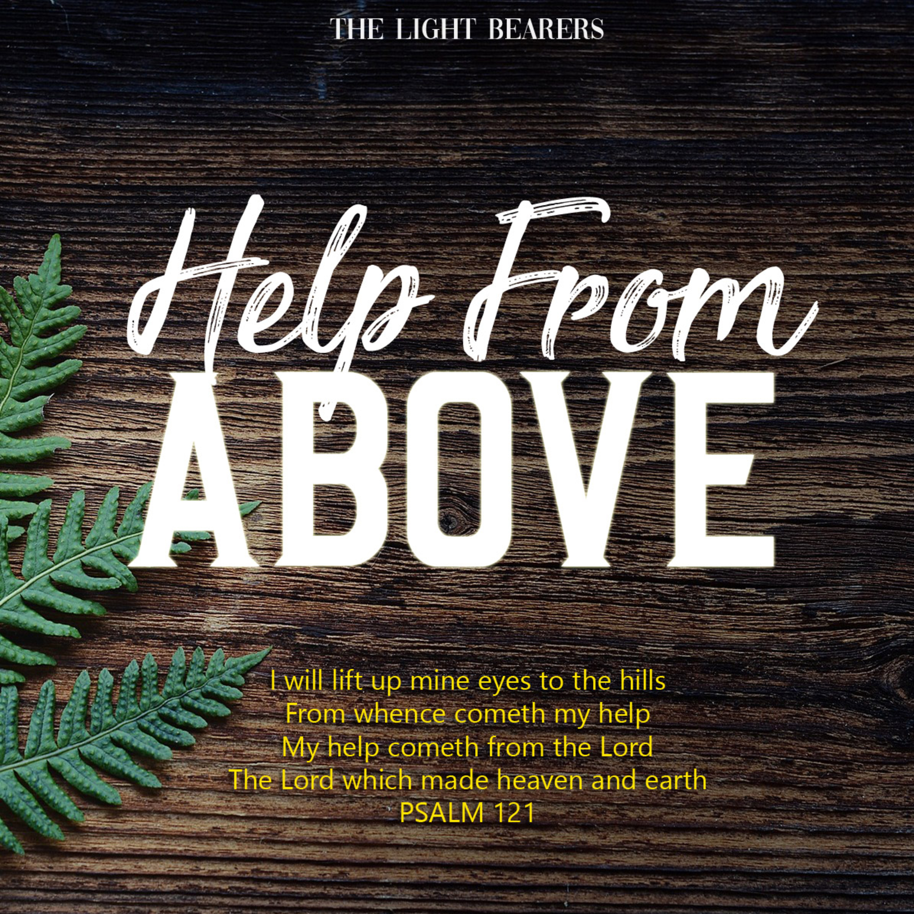 HELP FROM ABOVE episode artwork