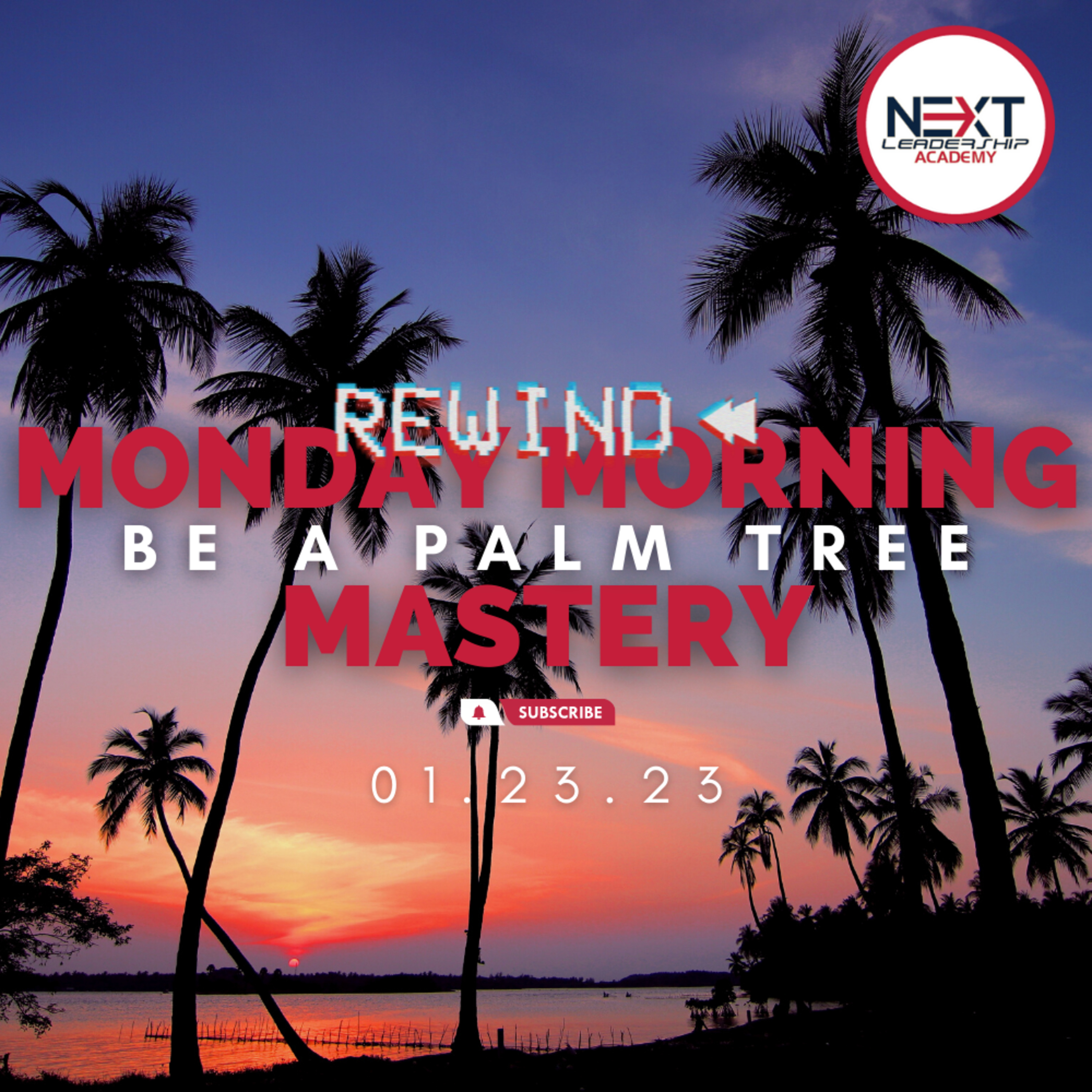 Be a Palm Tree 🌴 | Learn to Stand Strong in Life’s Storms episode artwork