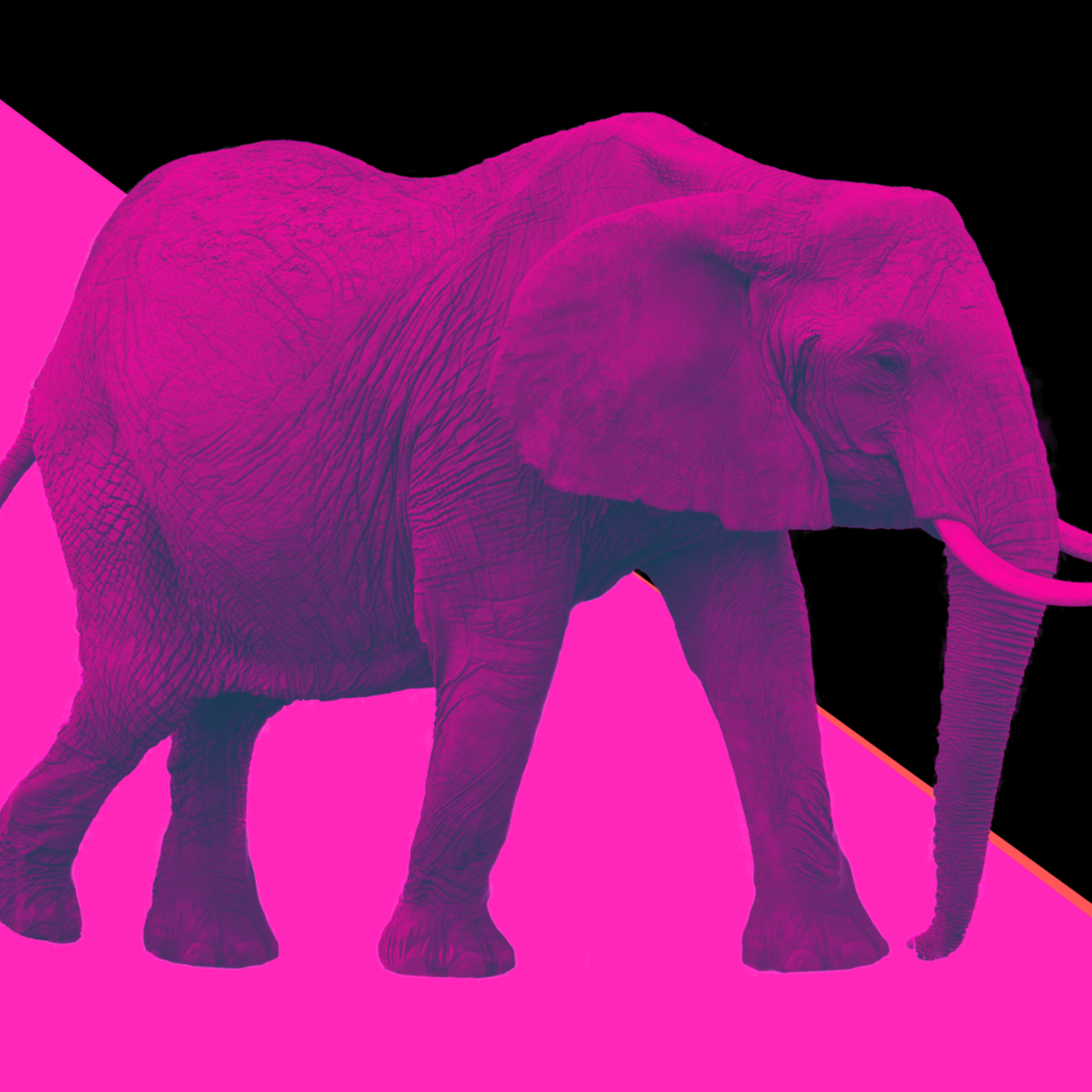 The Elephant week 1: The Preacher Only Wants Your Money.  episode artwork