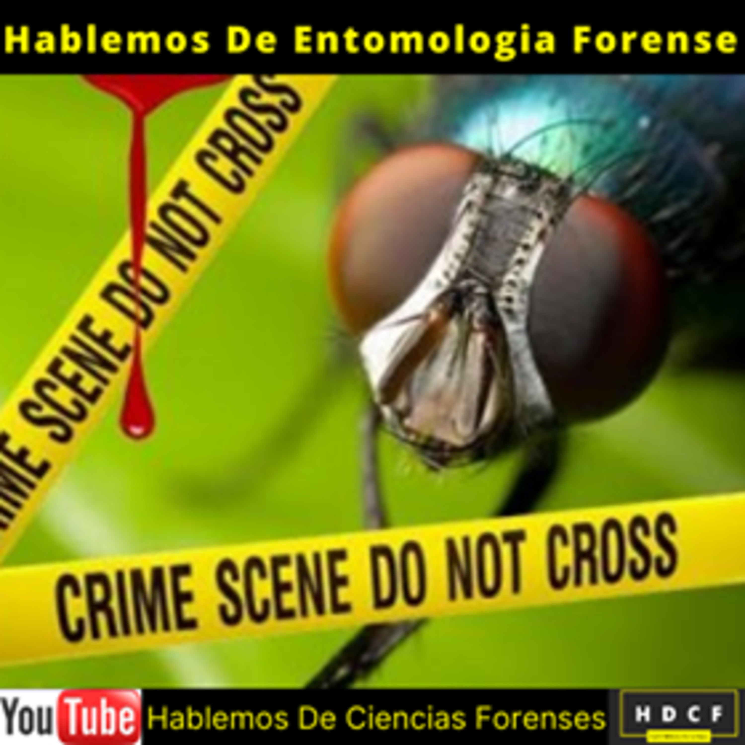 Hablemos de Ciencias Forenses