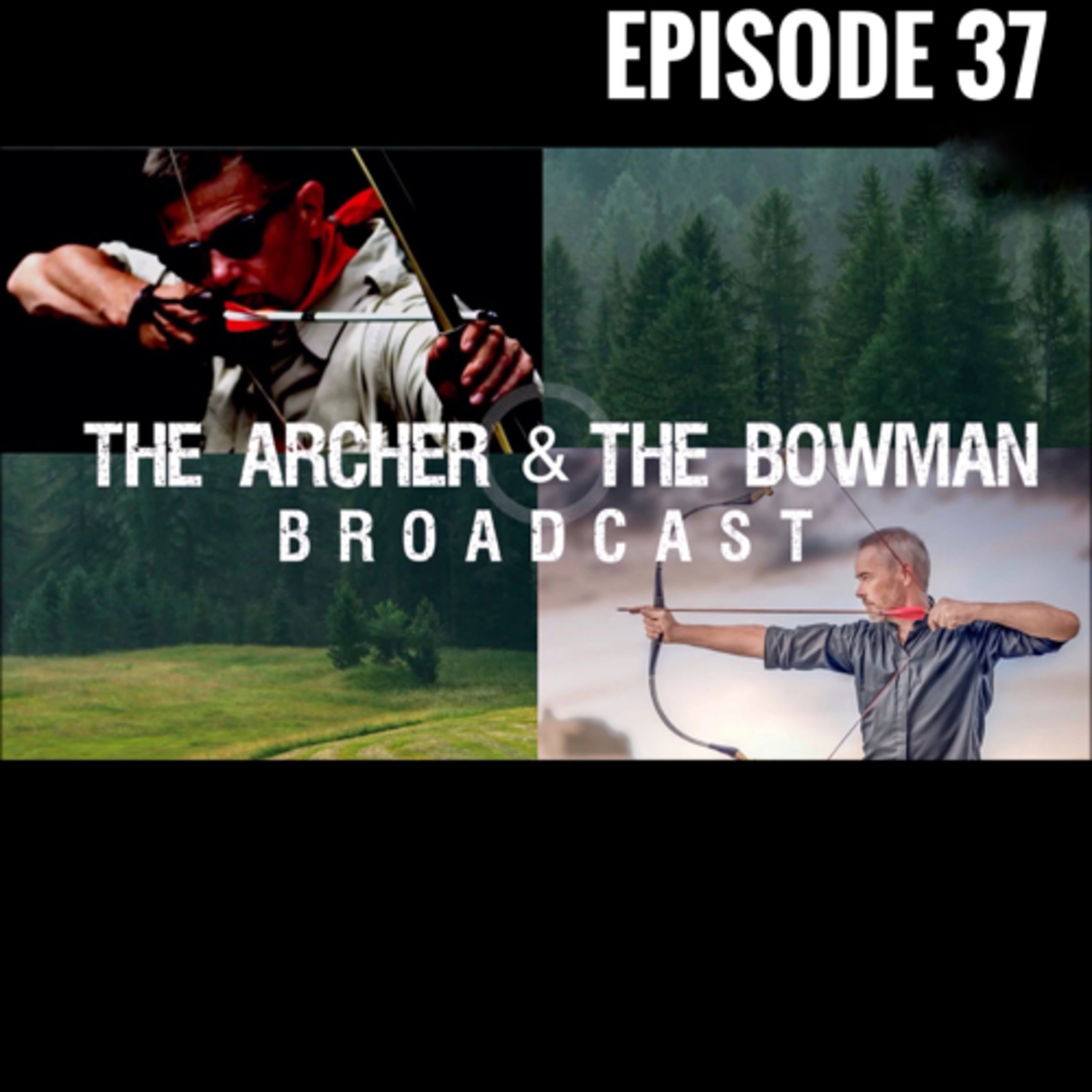 Traditional and Asiatic Archery