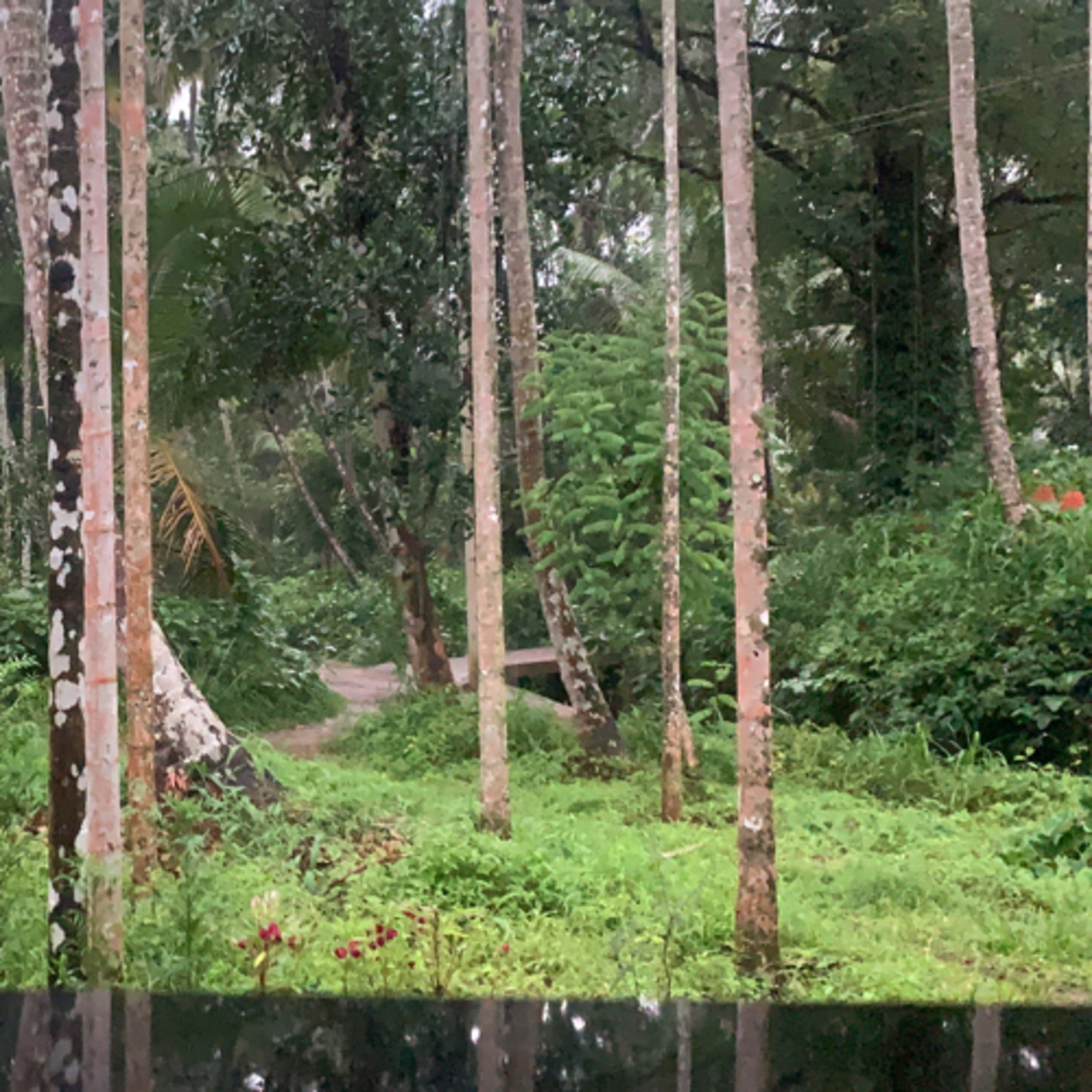cover of episode Rain Fall Sound Kerala, Nature Therapy