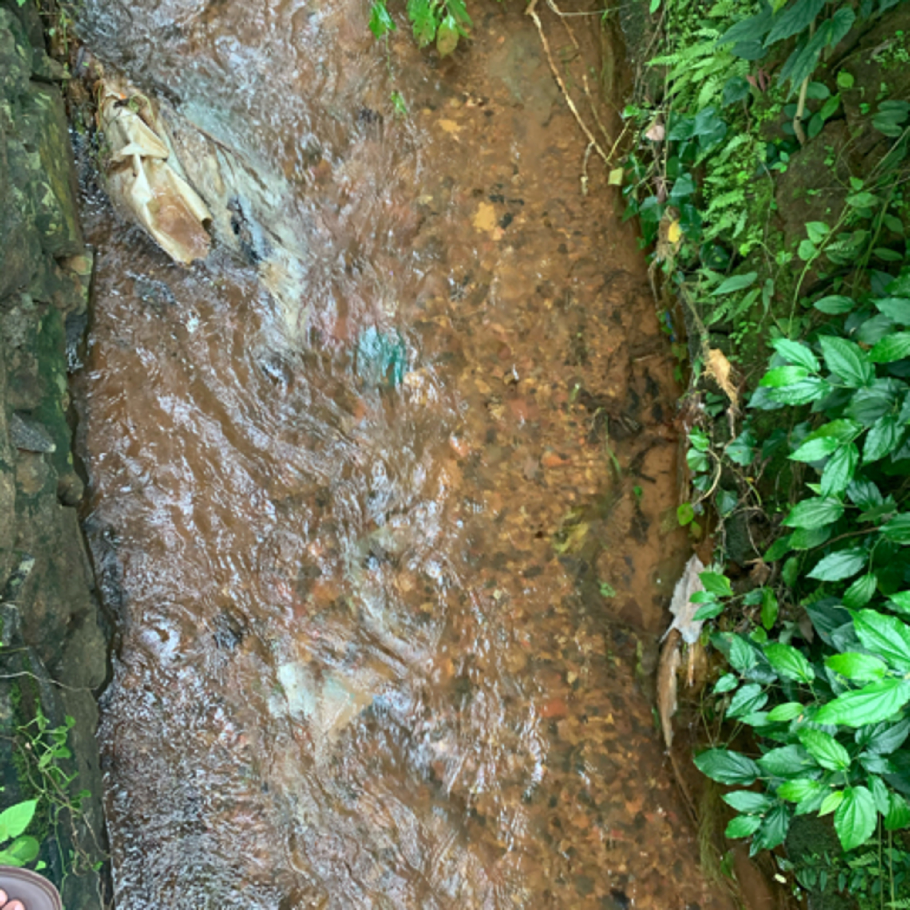 cover of episode Waterfall sound and natural mediation 