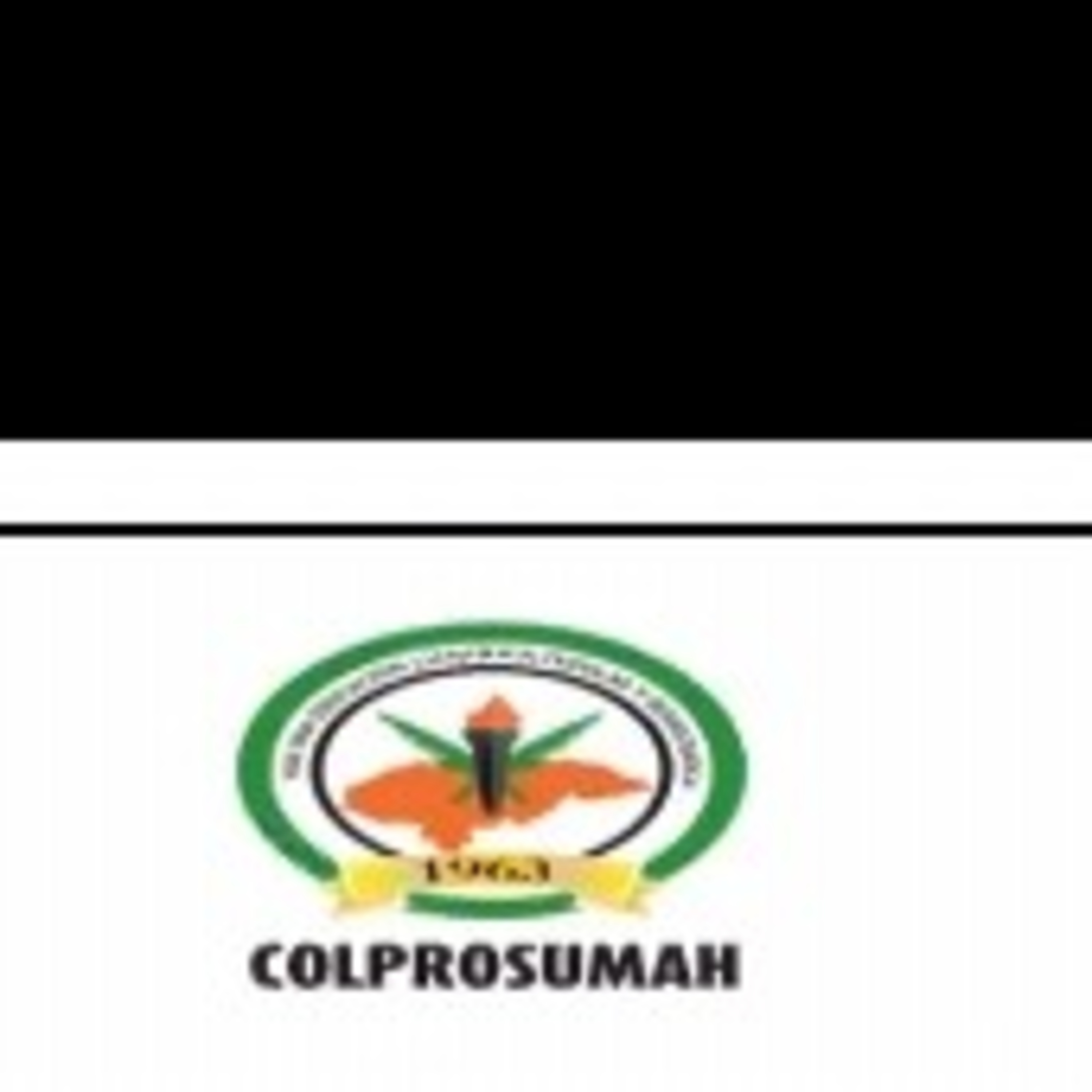 Colprosumah 4 De Junio Lempira