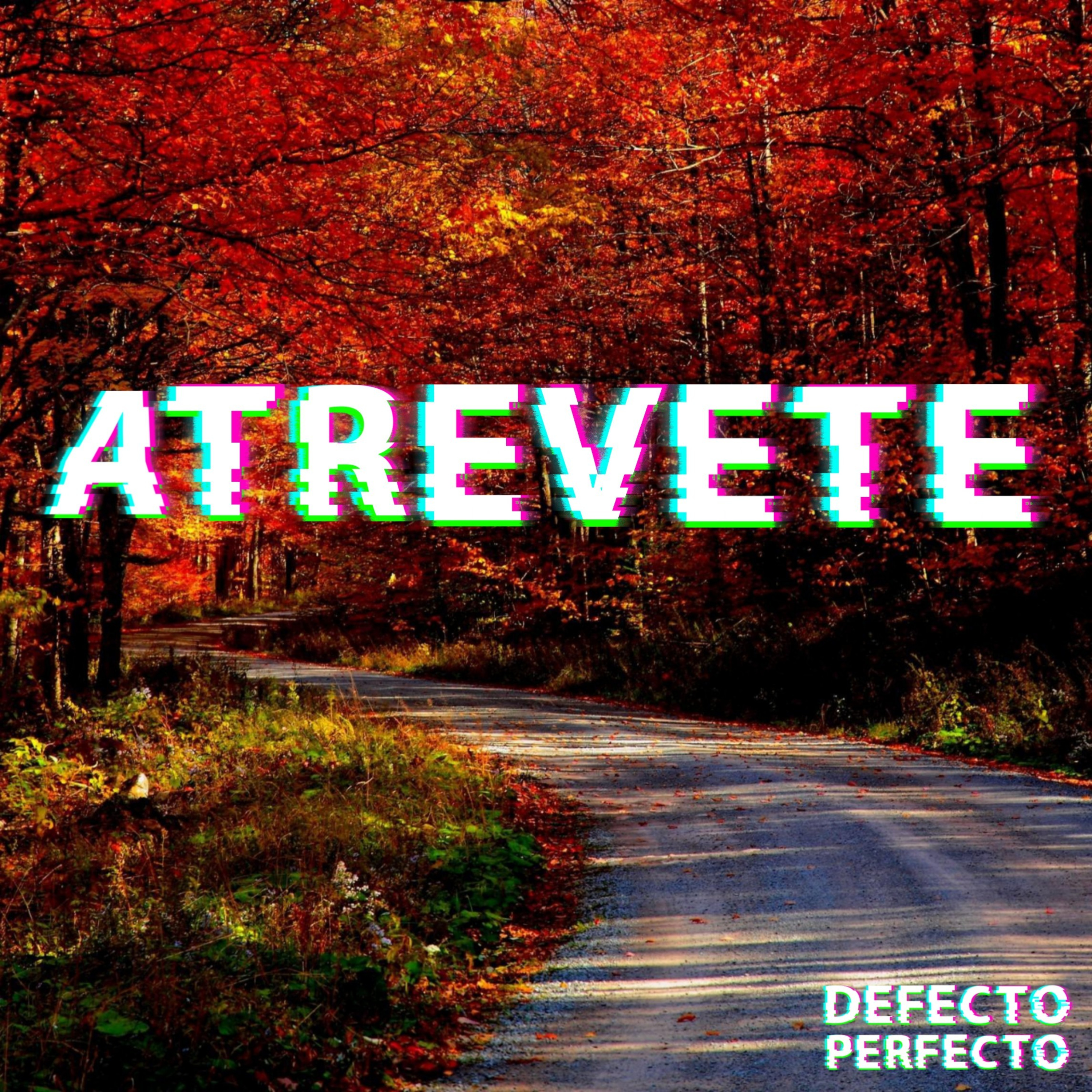 DEFECTO PERFECTO