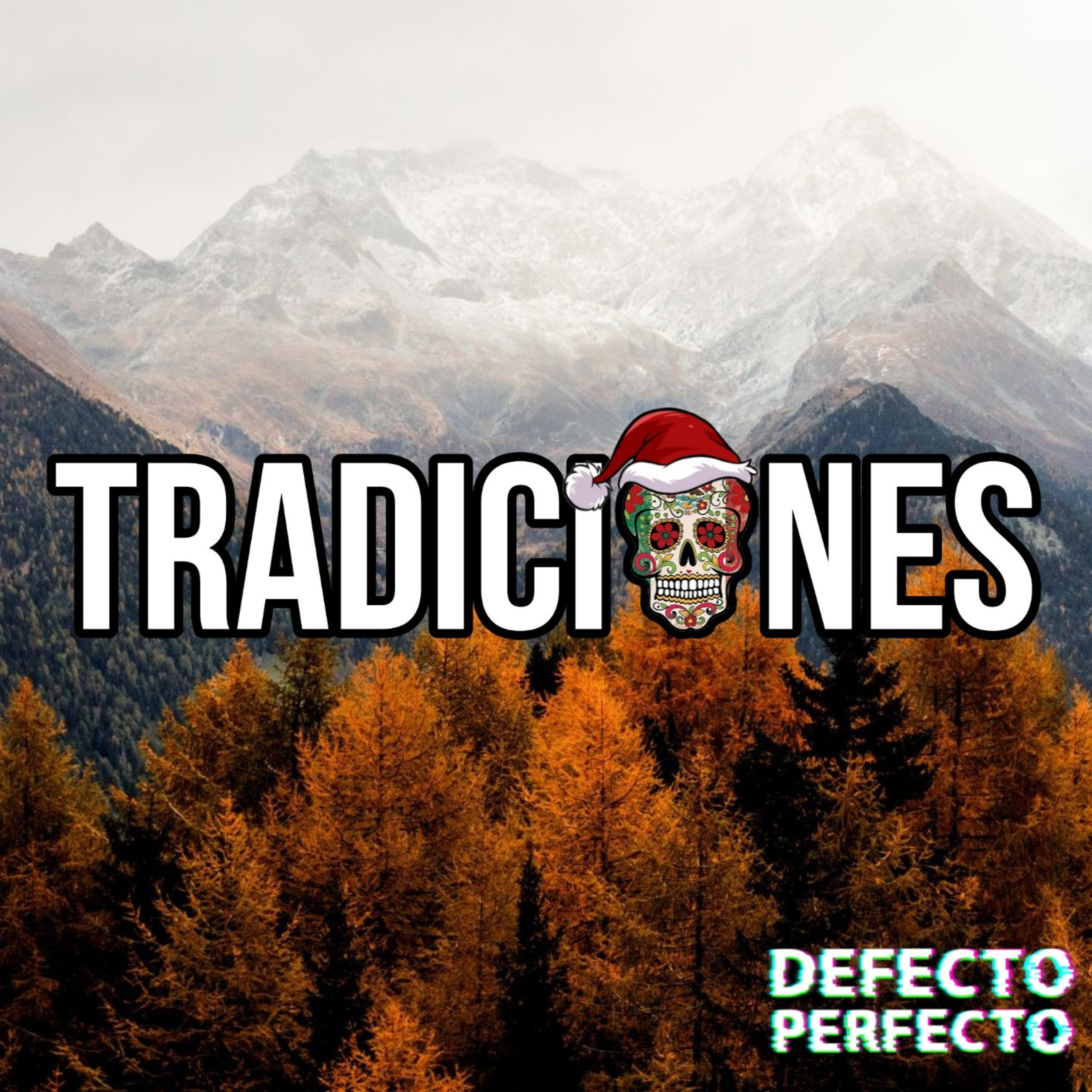DEFECTO PERFECTO