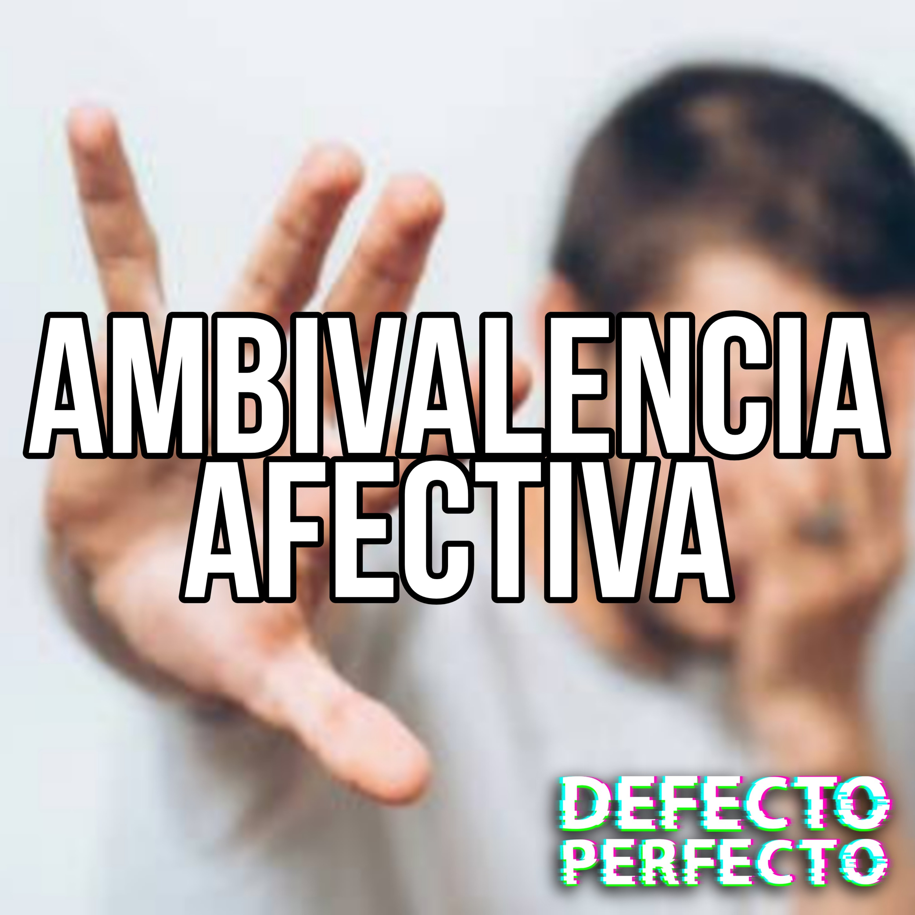 DEFECTO PERFECTO