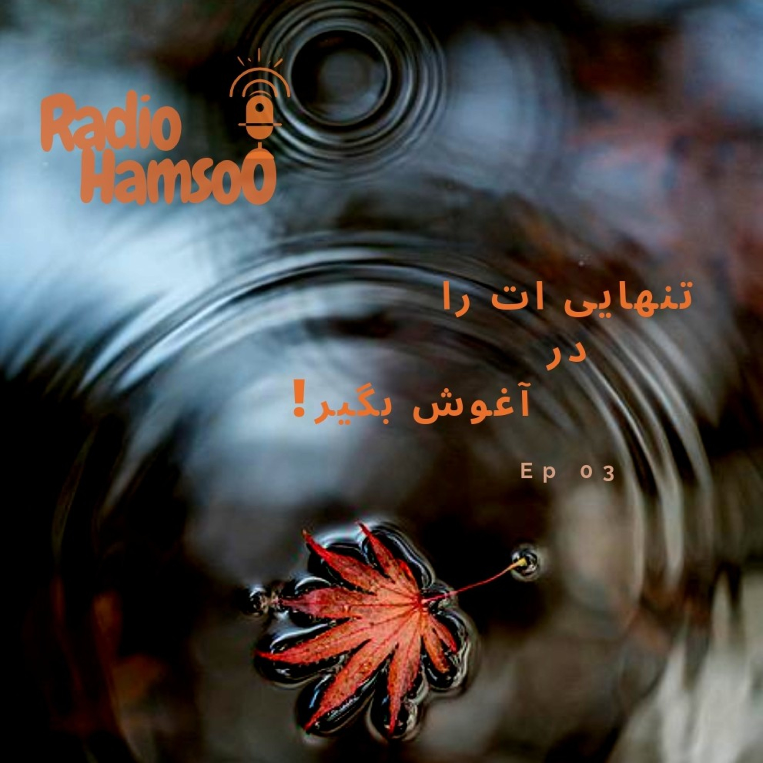 تنهایی ات را در آغوش بگیر(خلوت گزینی ) episode artwork