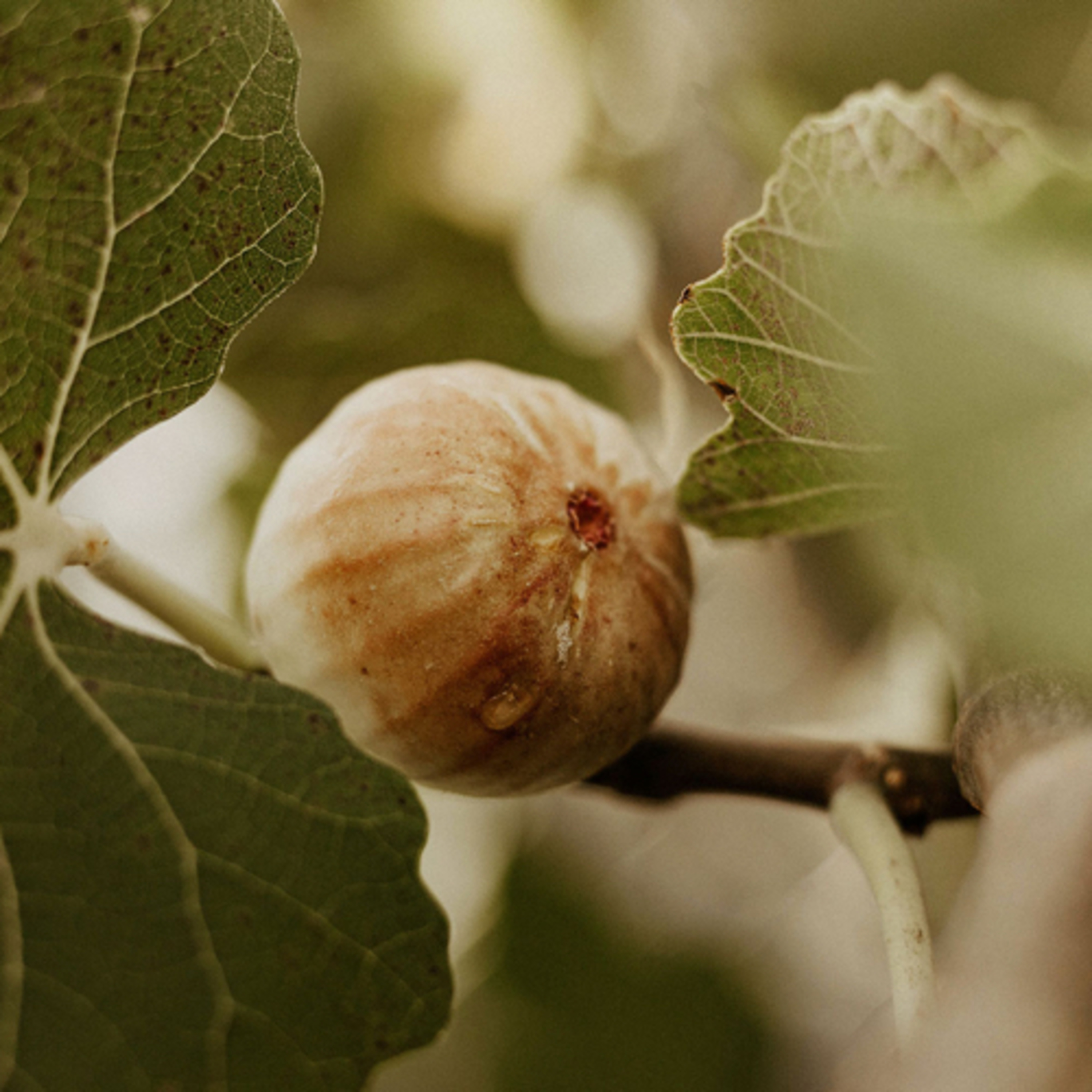 Bible Stories for Big Kids