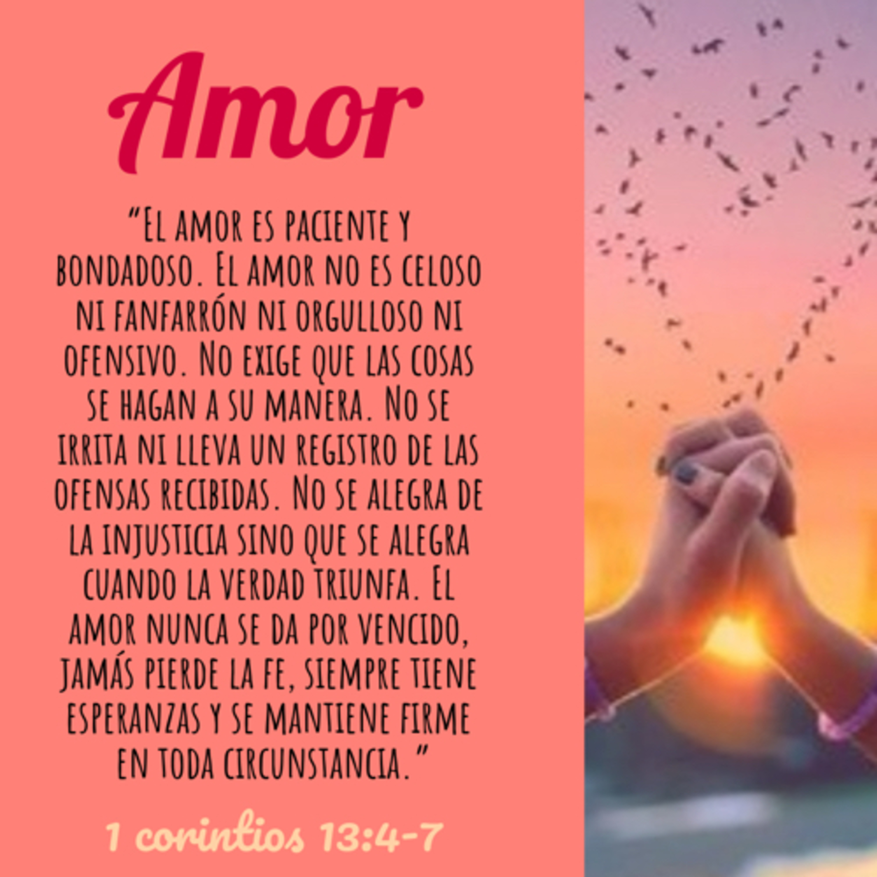 Amor parte 3 episode artwork