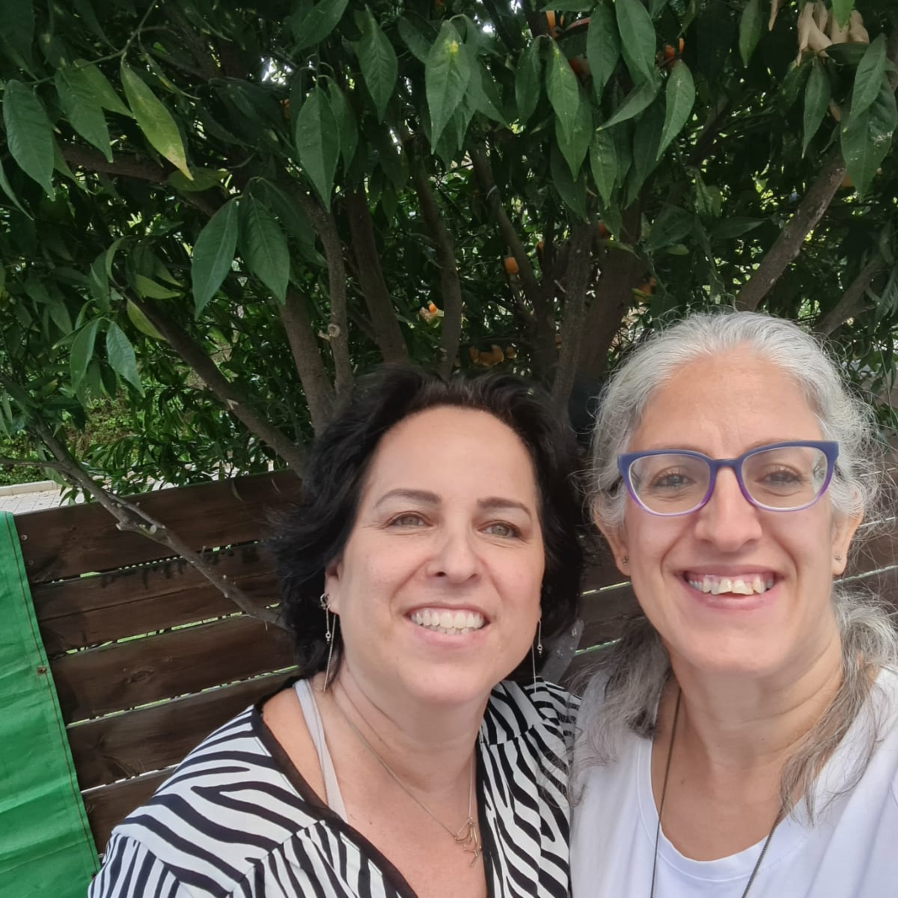 מקשיבה לצבעים - מירב שקד