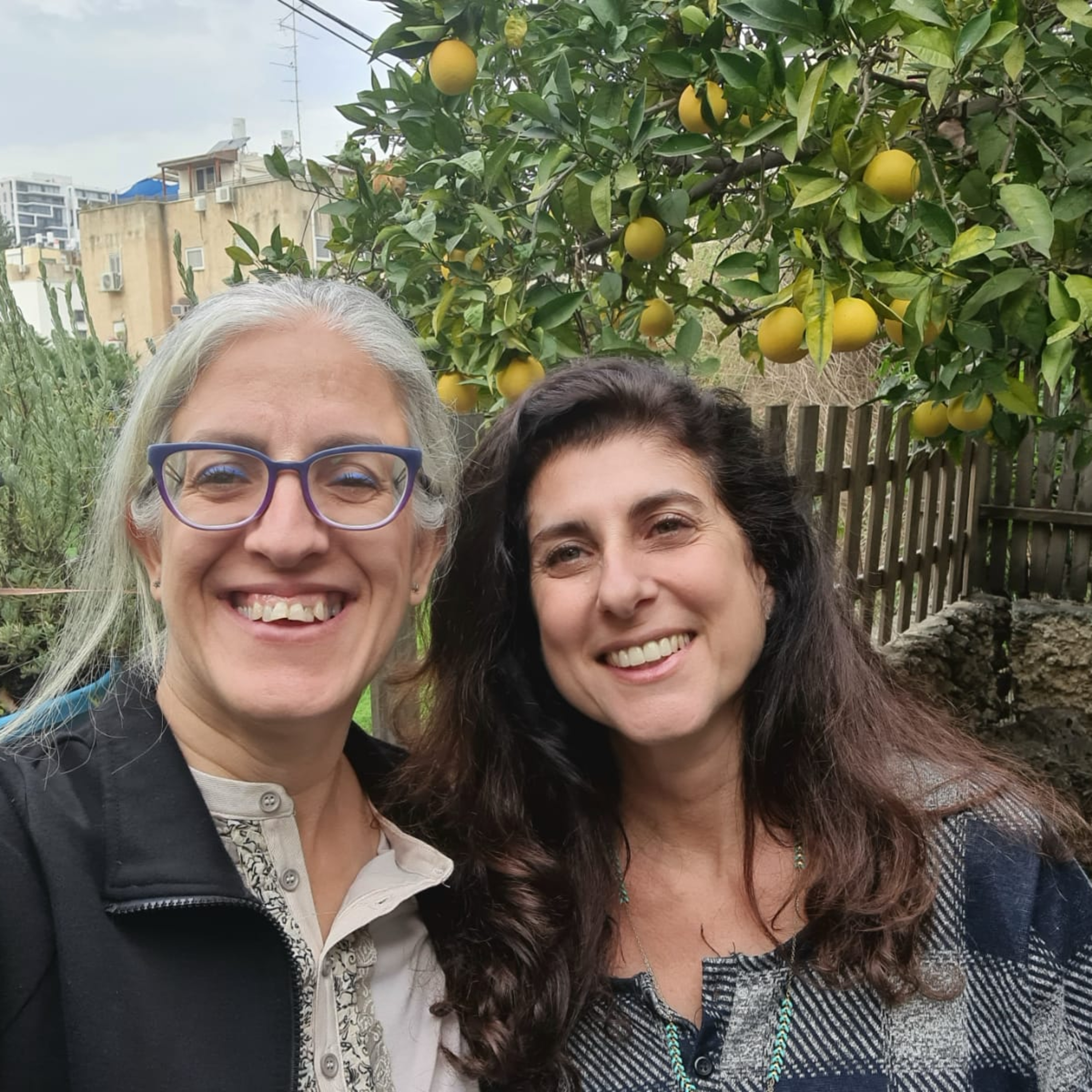 מקשיבה לצבעים - מירב שקד