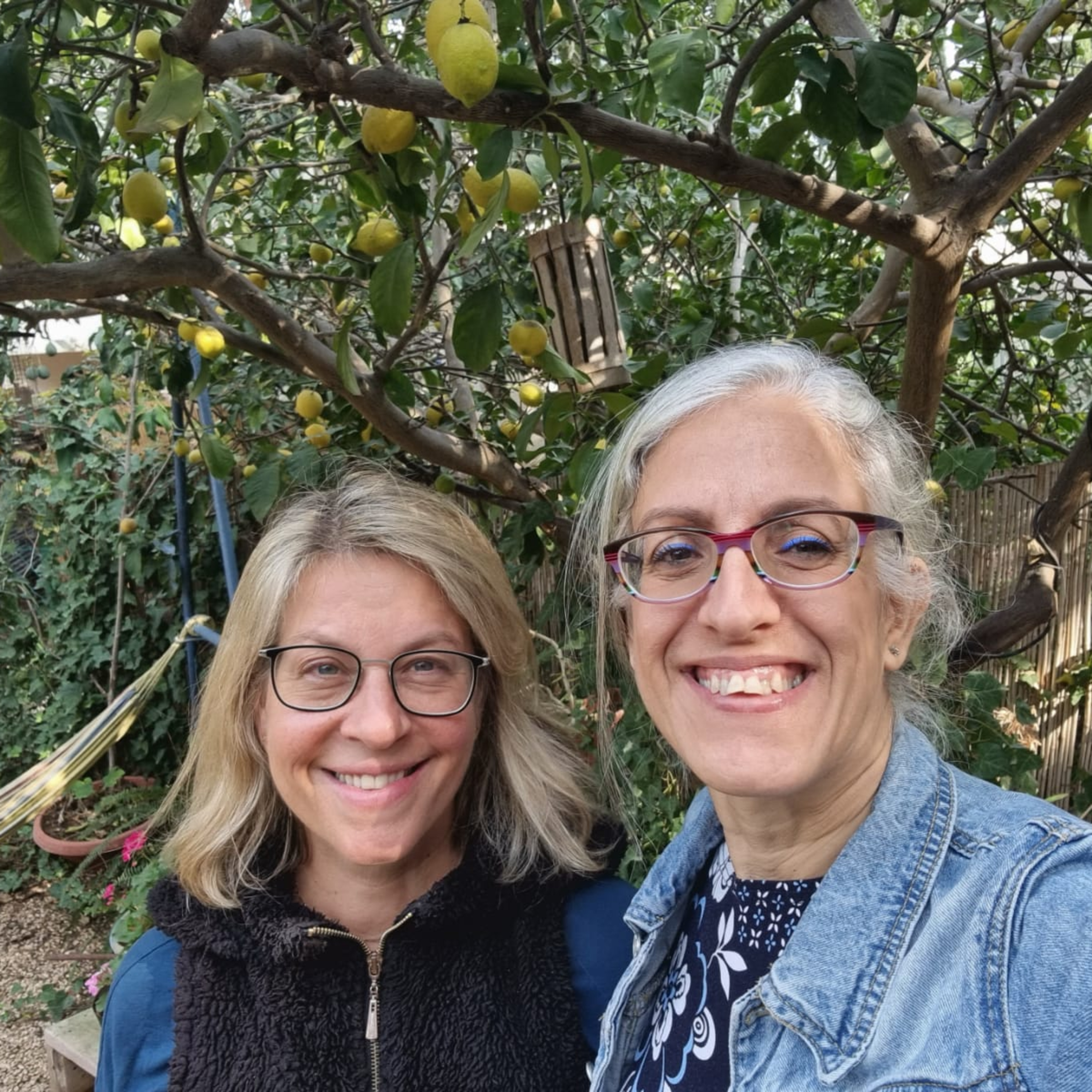 מקשיבה לצבעים - מירב שקד