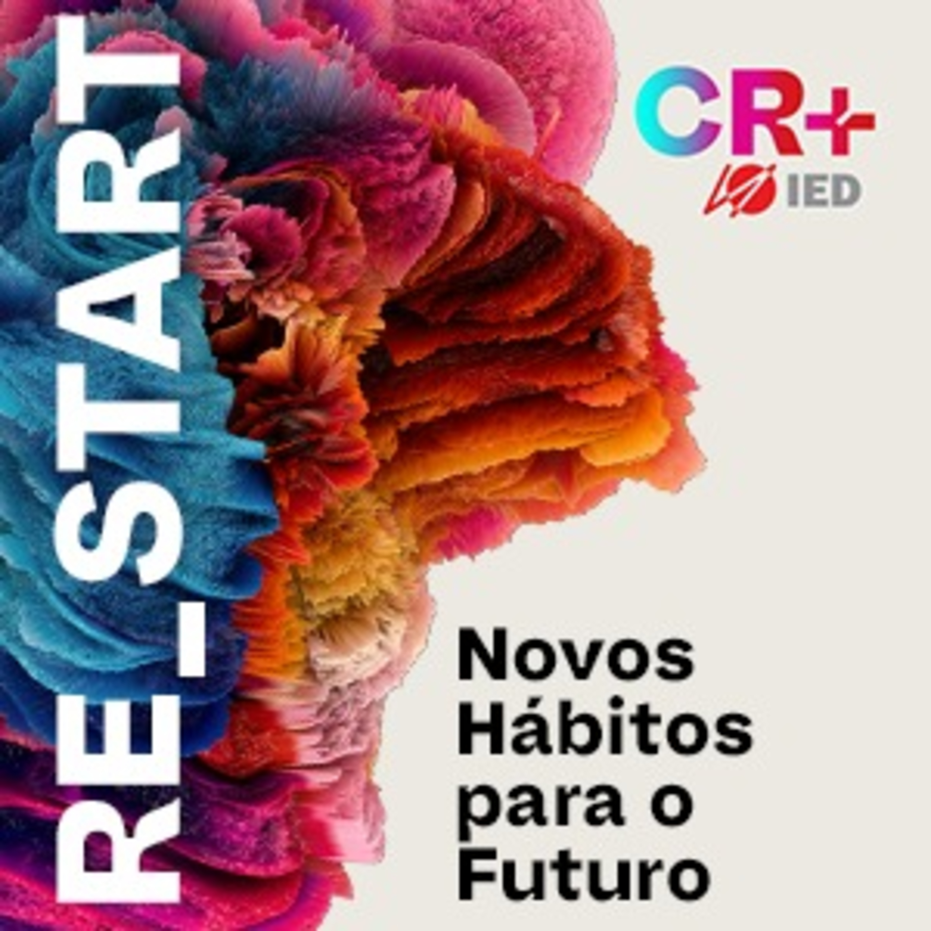 Centro de Inovação - IED Brasil