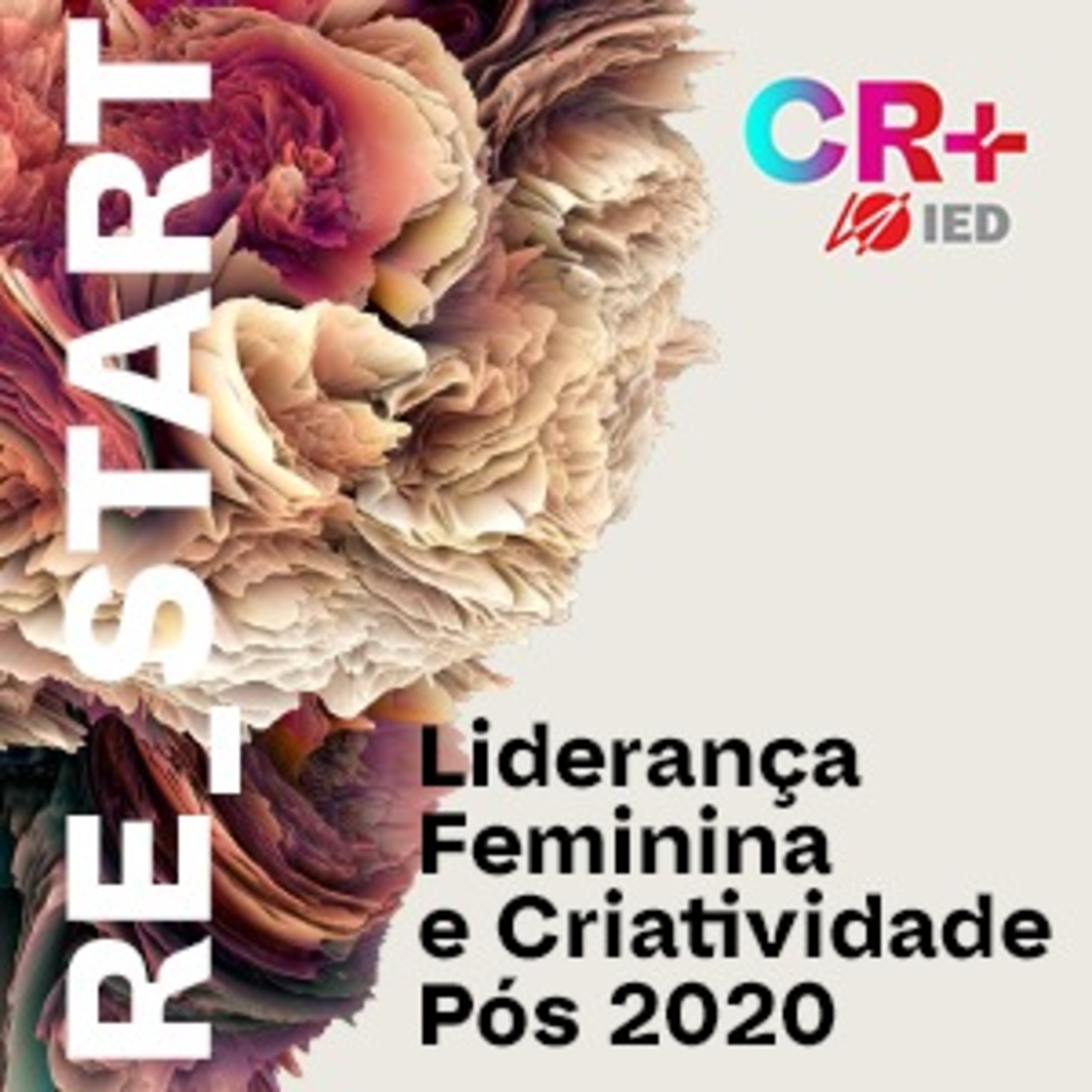 Centro de Inovação - IED Brasil