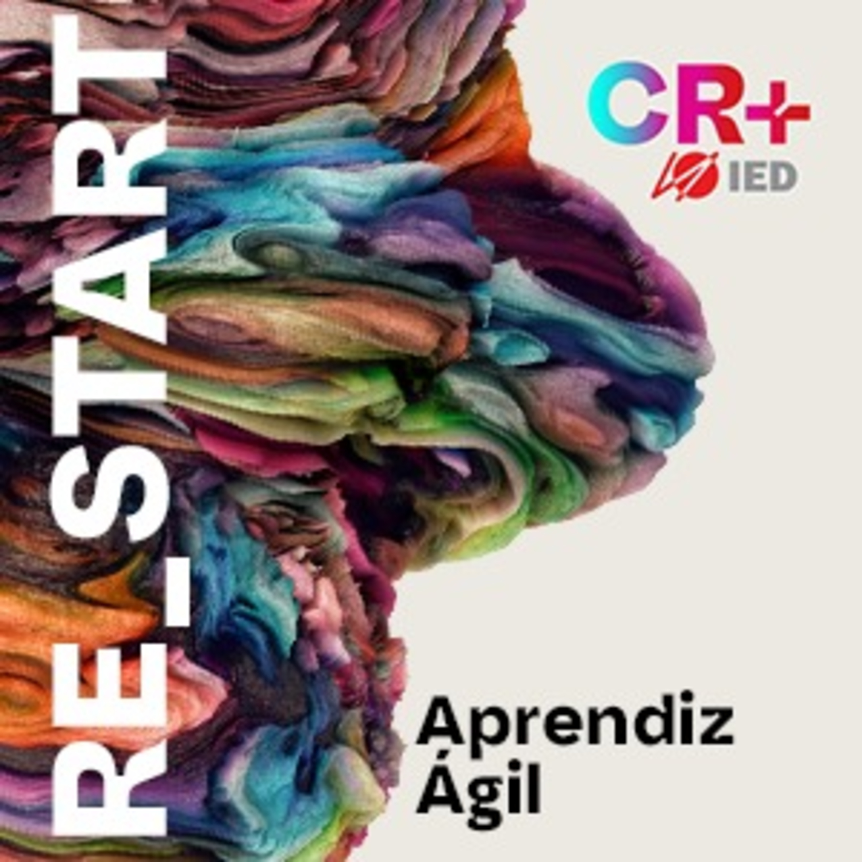 Centro de Inovação - IED Brasil