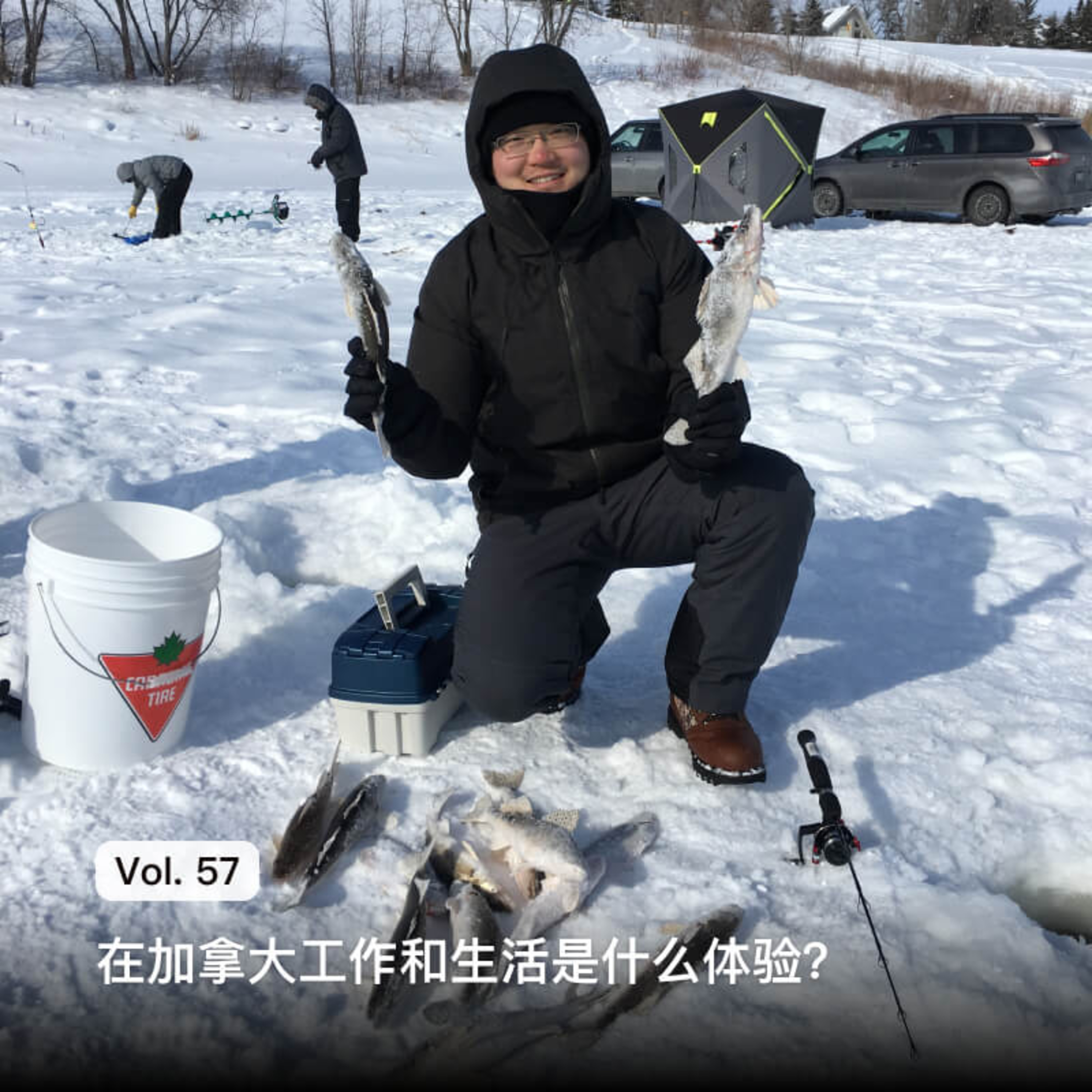 枫言枫语