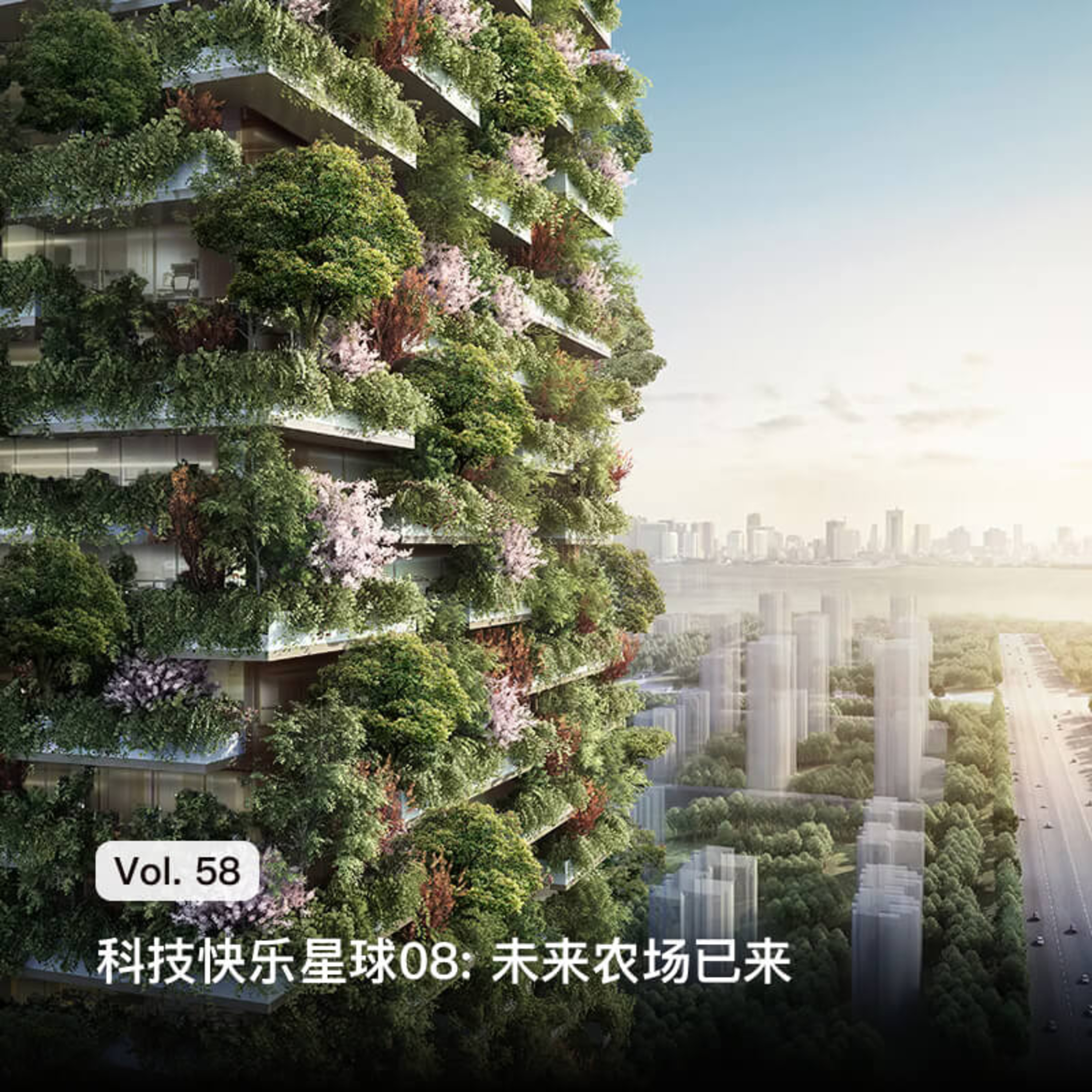 枫言枫语