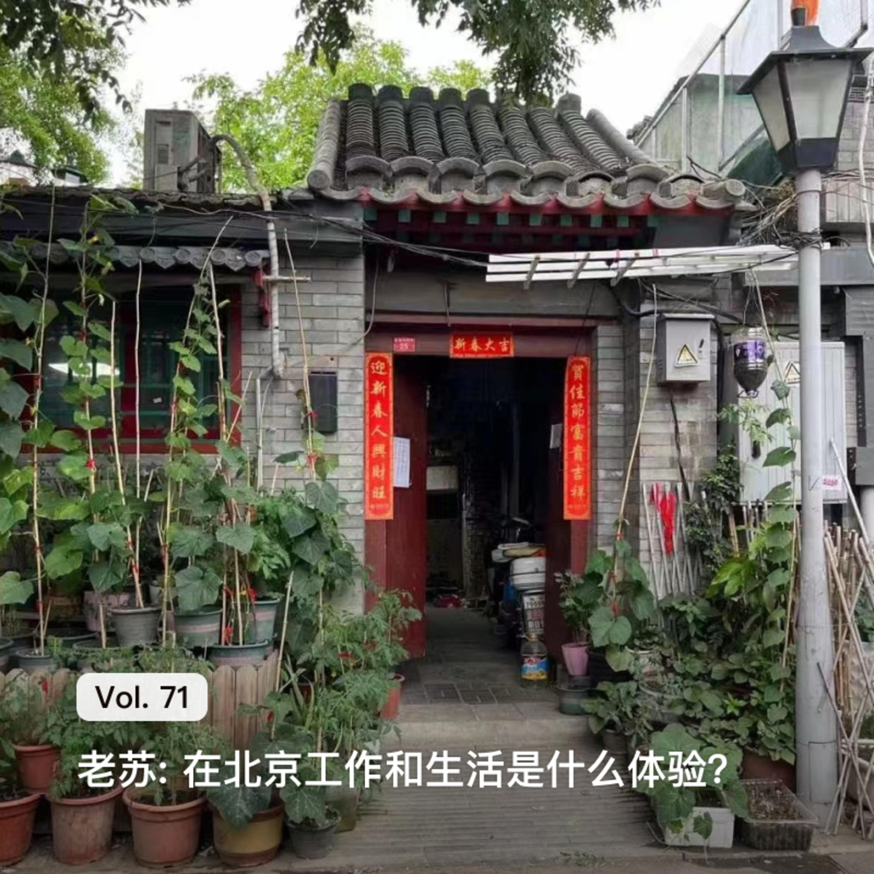 枫言枫语